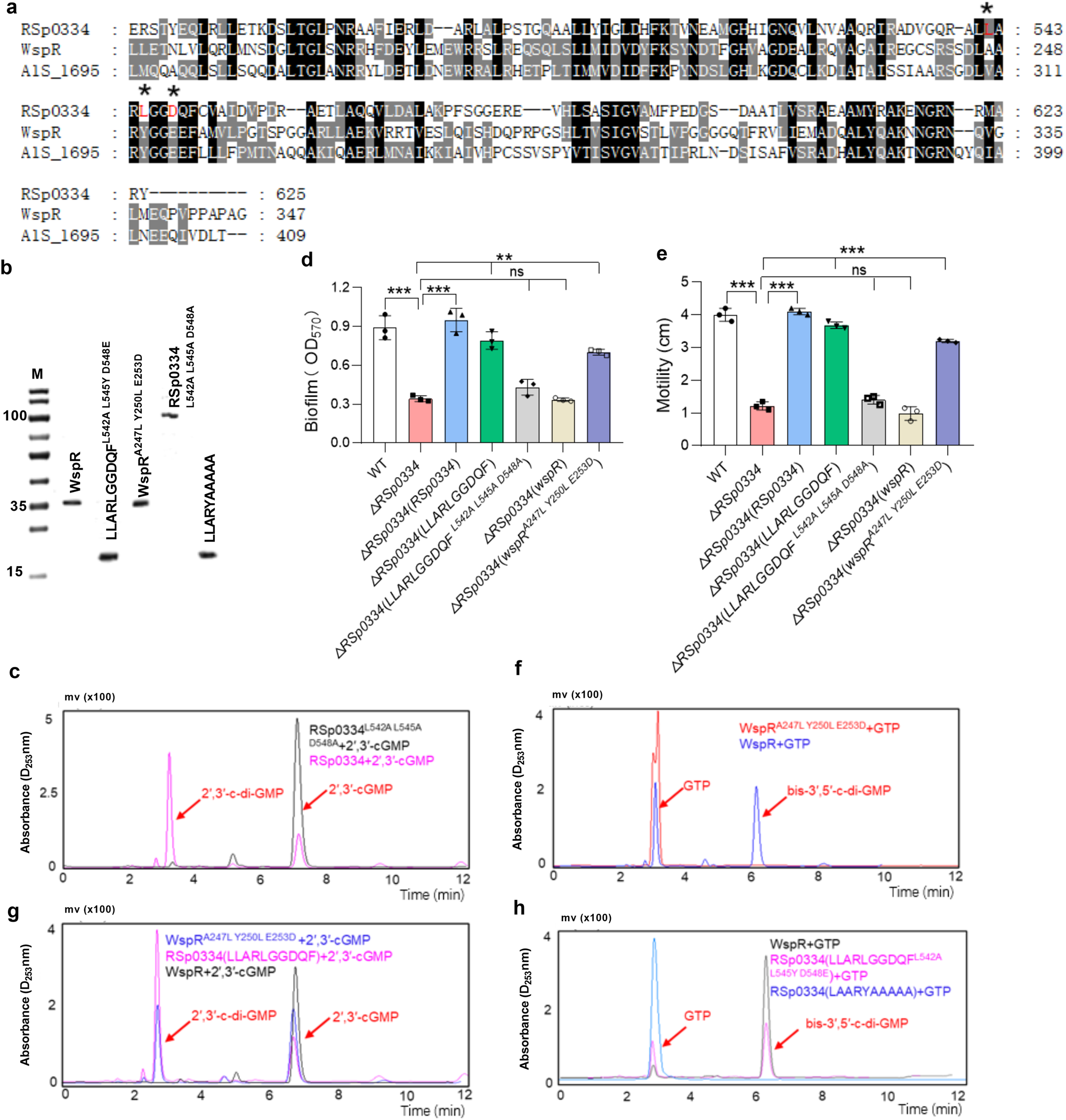 Fig. 2: Sequence analysis of the key enzyme active sites in RSp0334.