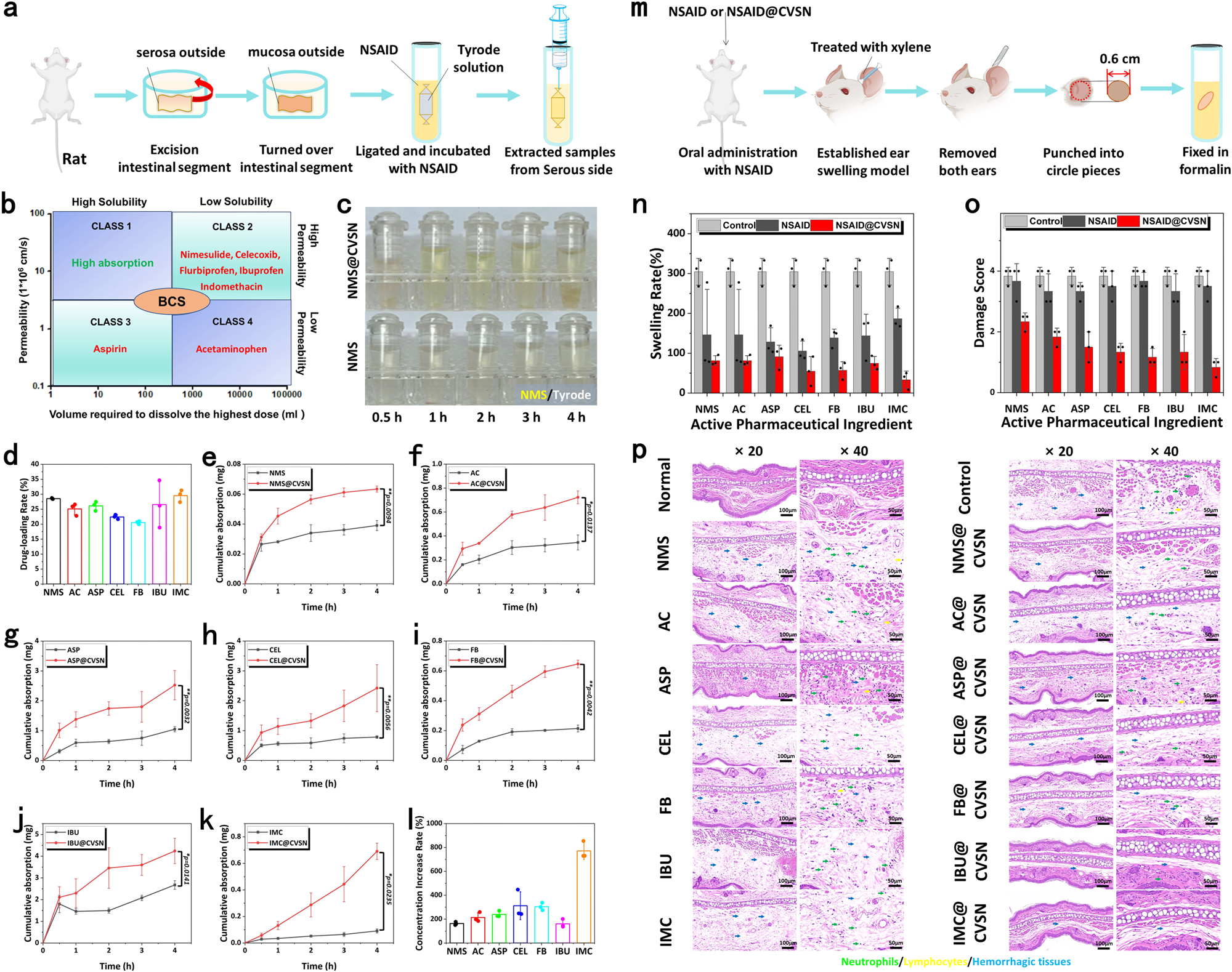 Fig. 8: Versatility of CVSN as oral Nano-DDS.
