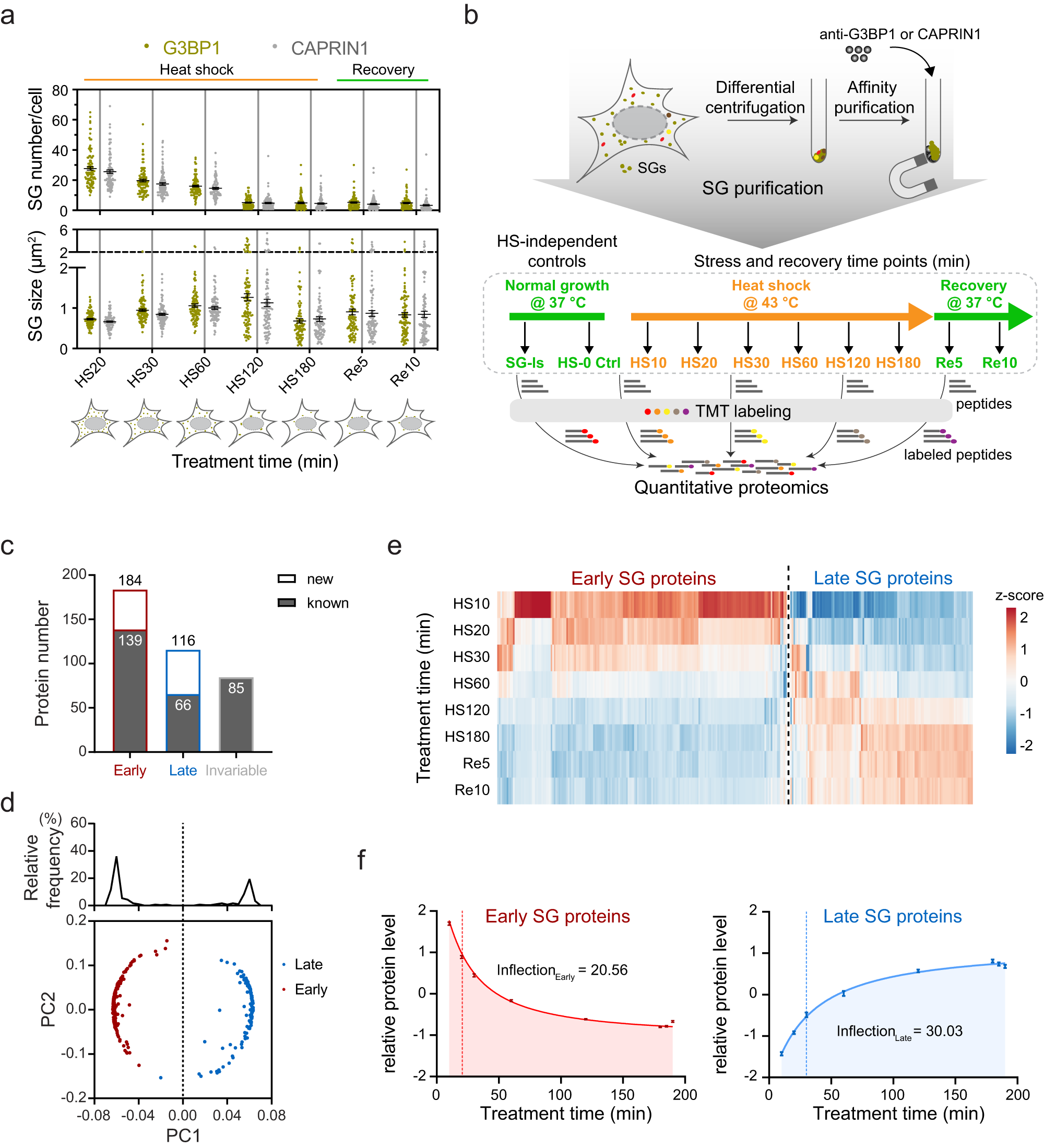 time-resolved-proteomic-profiling-reveals-compositional-and-functional-transitions-across-the-stress-granule-life-cycle-nature-communications
