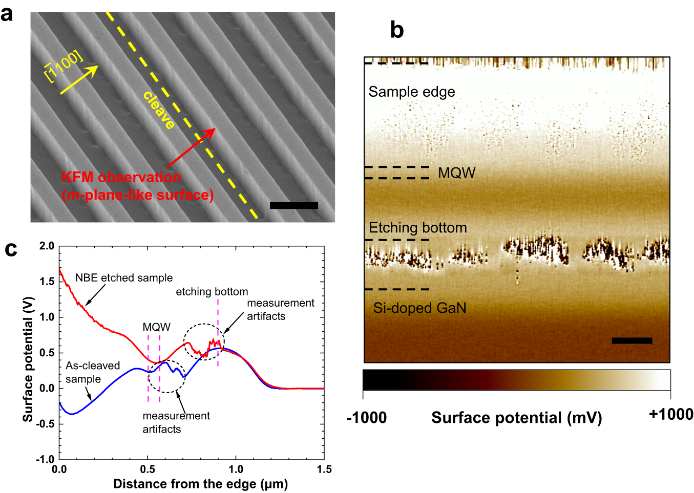Fig. 4: Surface potential measurement by KFM.