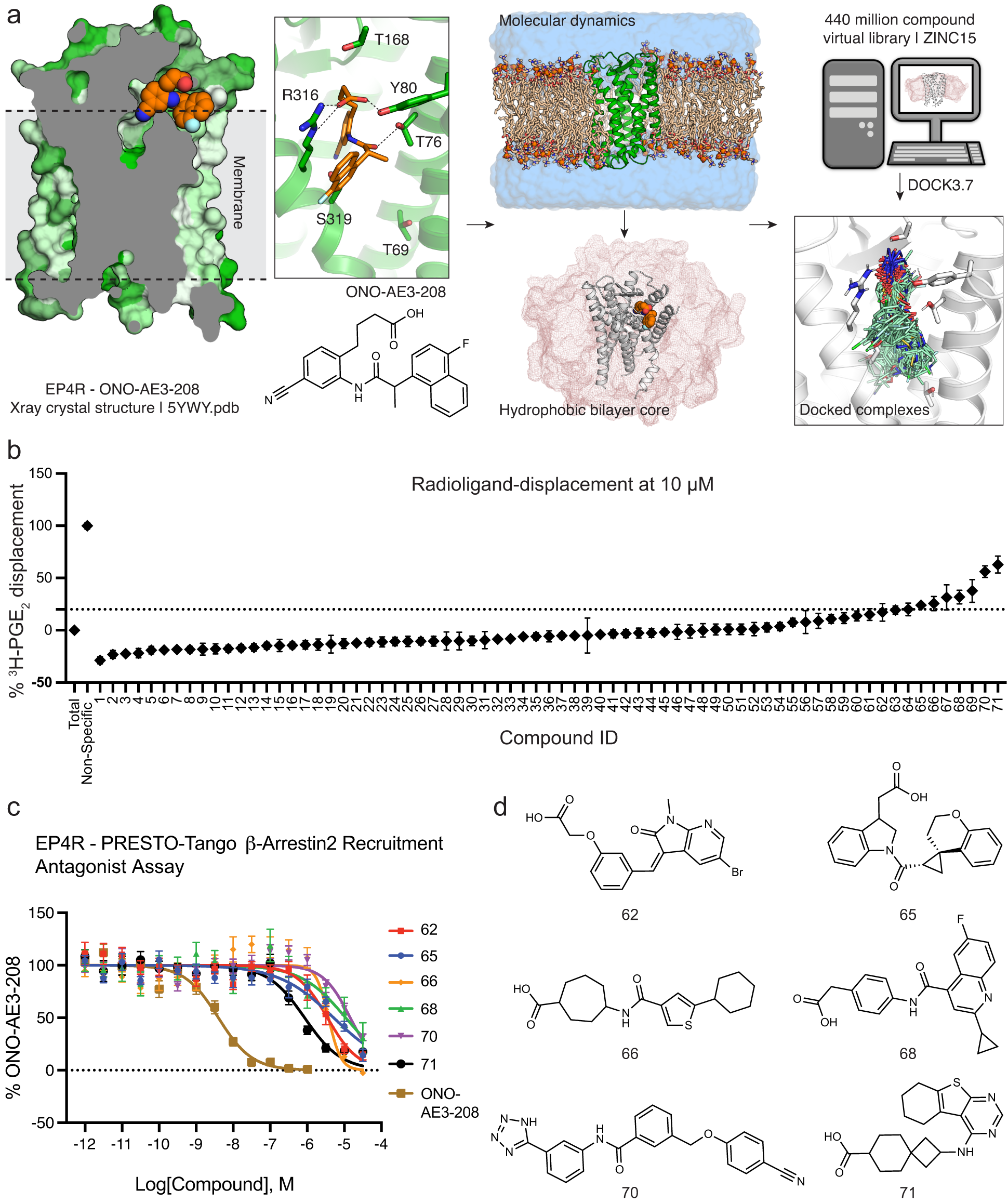 Fig. 1: Computational docking and in vitro testing for EP4R antagonists.
