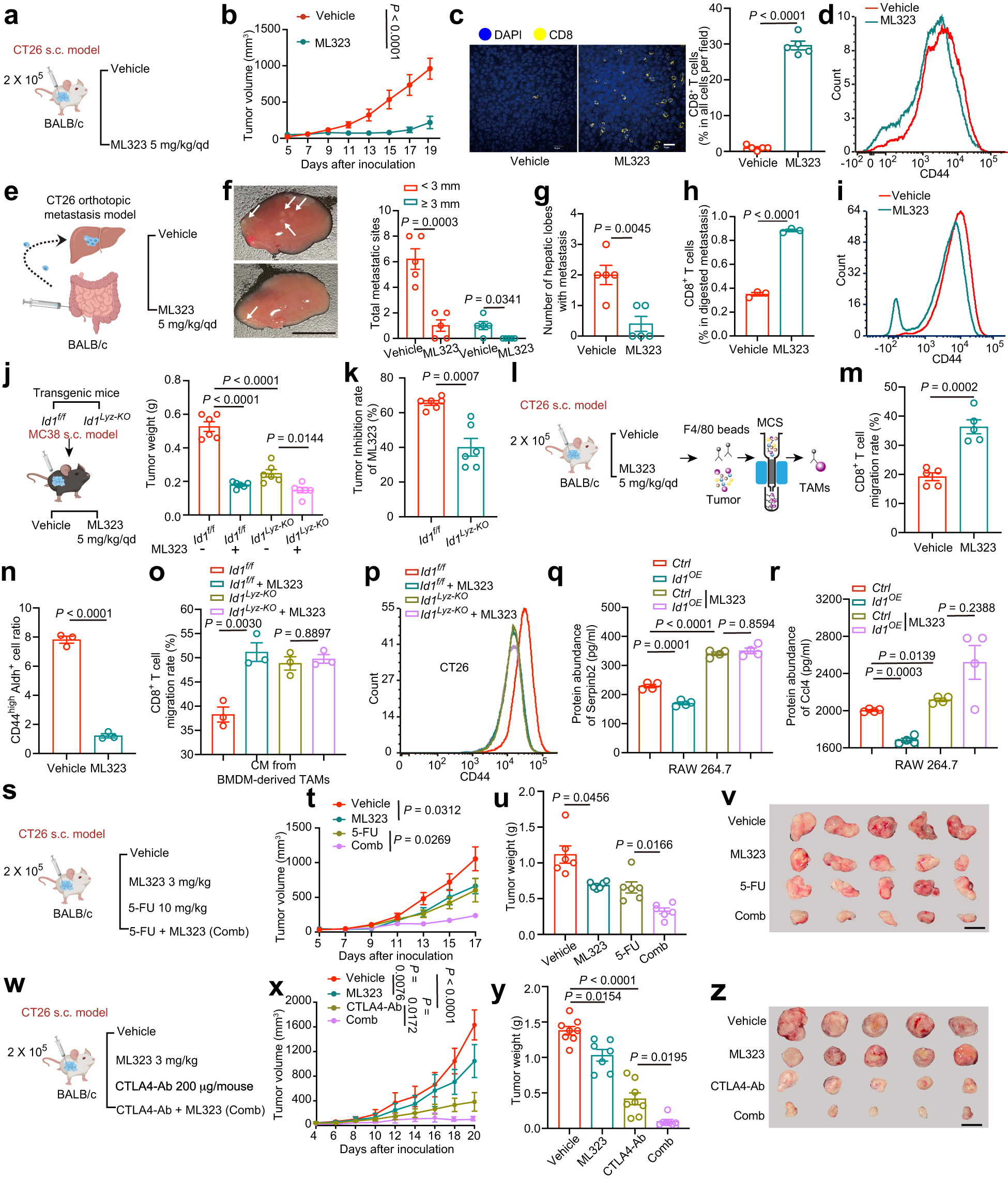 Fig. 7: Targeting ID1 inhibits CRC progression and sensitizes tumor cells to chemotherapy and immunotherapy.