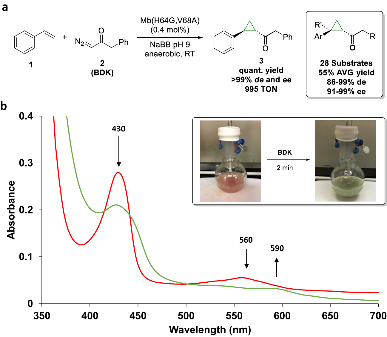 Fig. 1: Mb reaction with benzyl diazoketone.