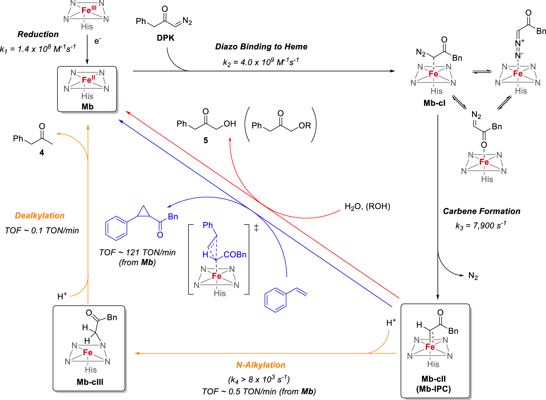 Fig. 7: Mechanistic manifold for Mb-catalyzed olefin cyclopropanation with benzyl diazoketone.