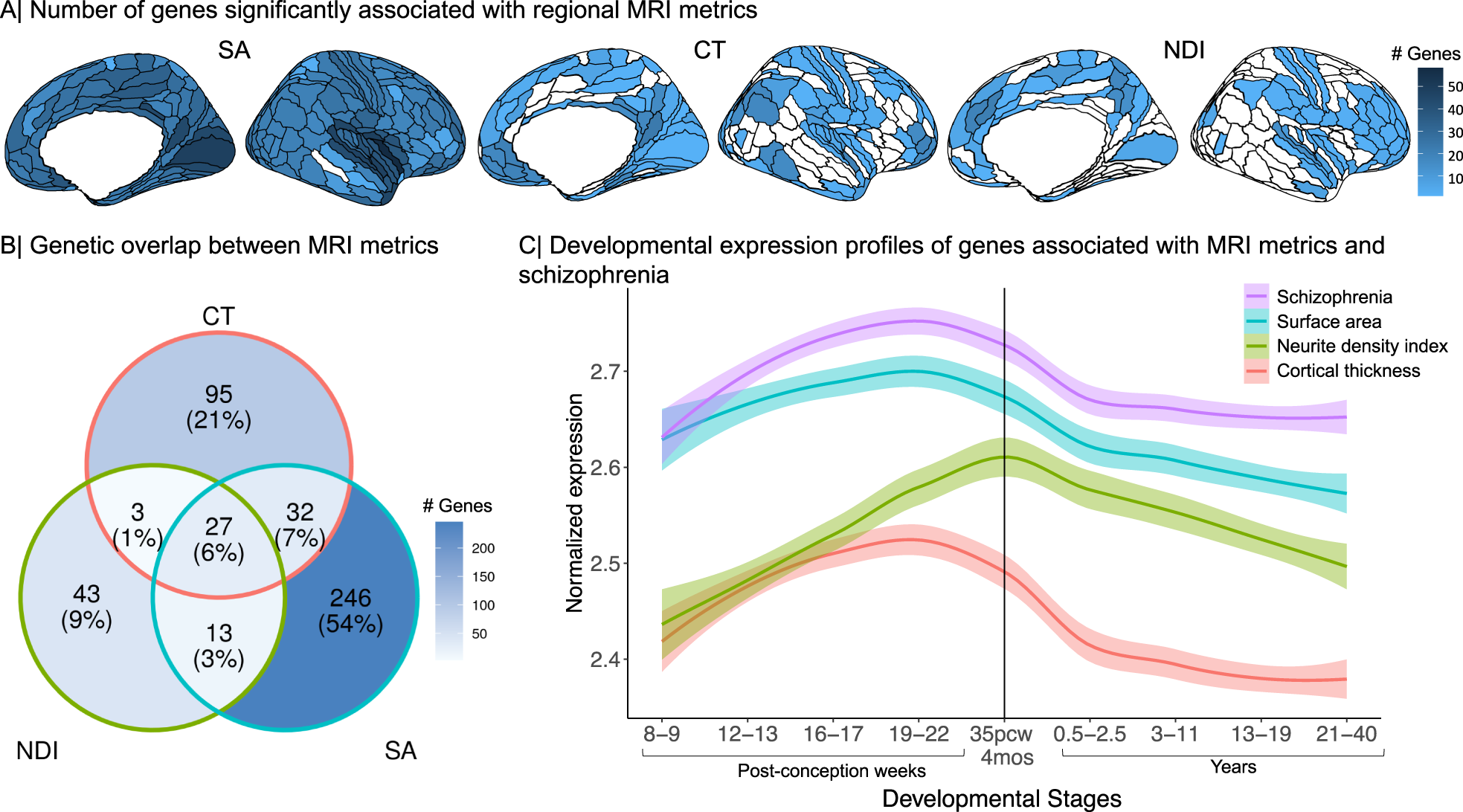 Large-scale analysis of structural brain asymmetries in schizophrenia via  the ENIGMA consortium