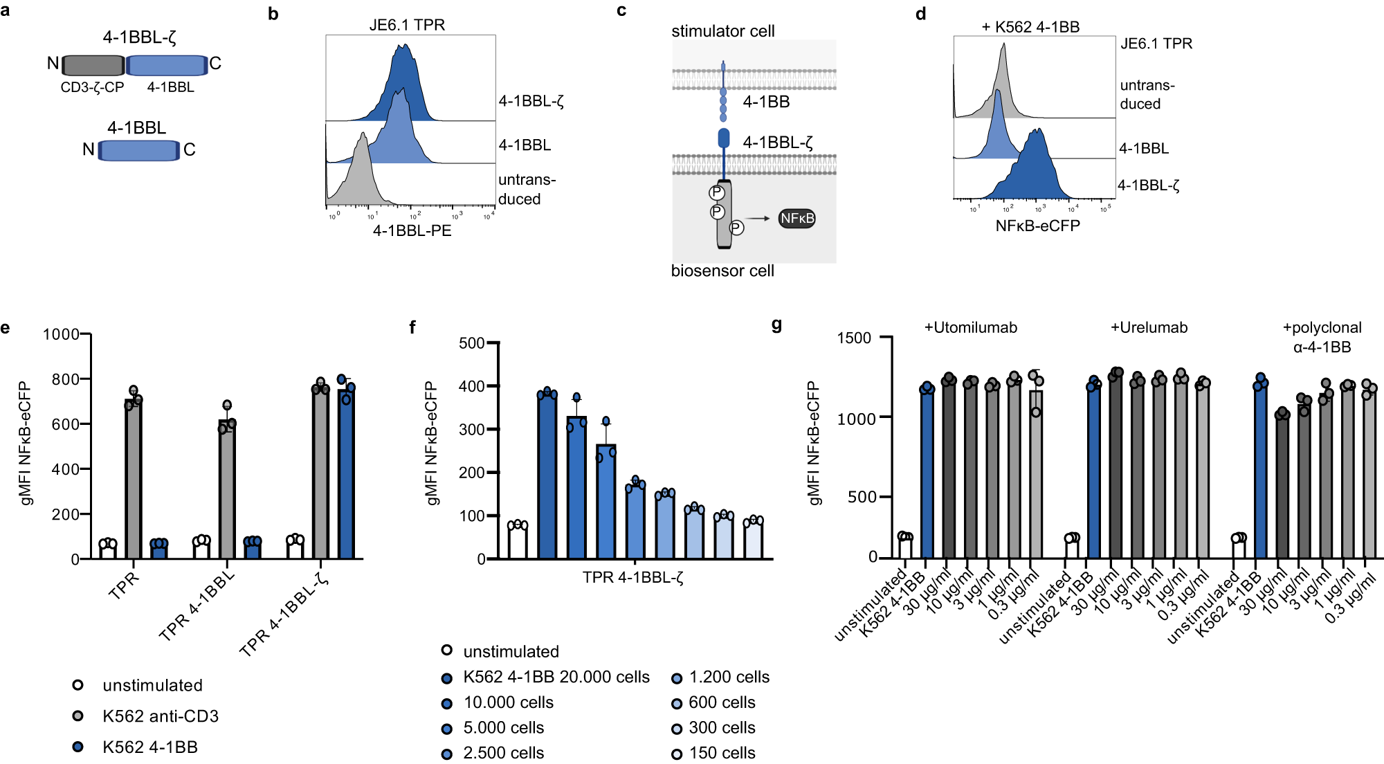 Fig. 2: Integration of type II molecule ectodomains into cellular biosensors.