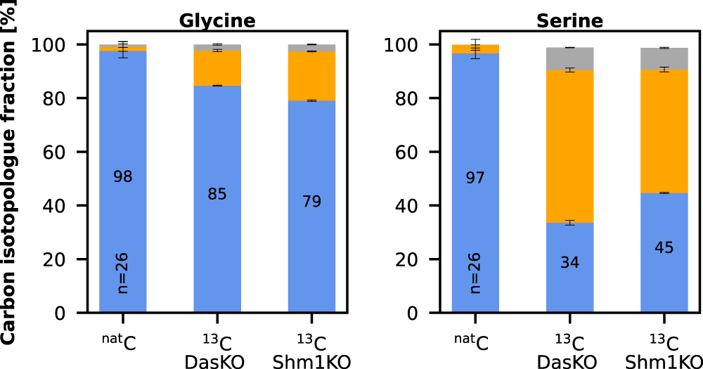 Fig. 5: Carbon isotopologue distribution analysis of growing Shm1KO strain.