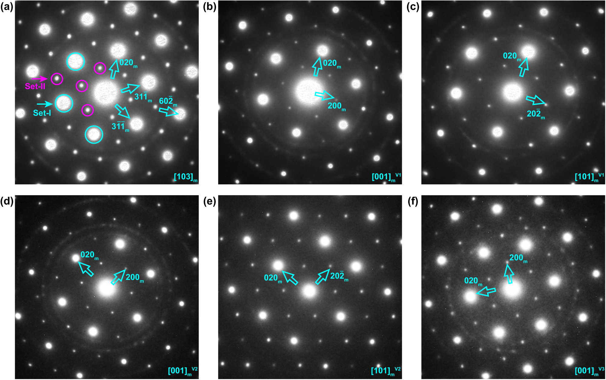 Fig. 2: A series of SAED patterns of vaterite obtained from a single grain.