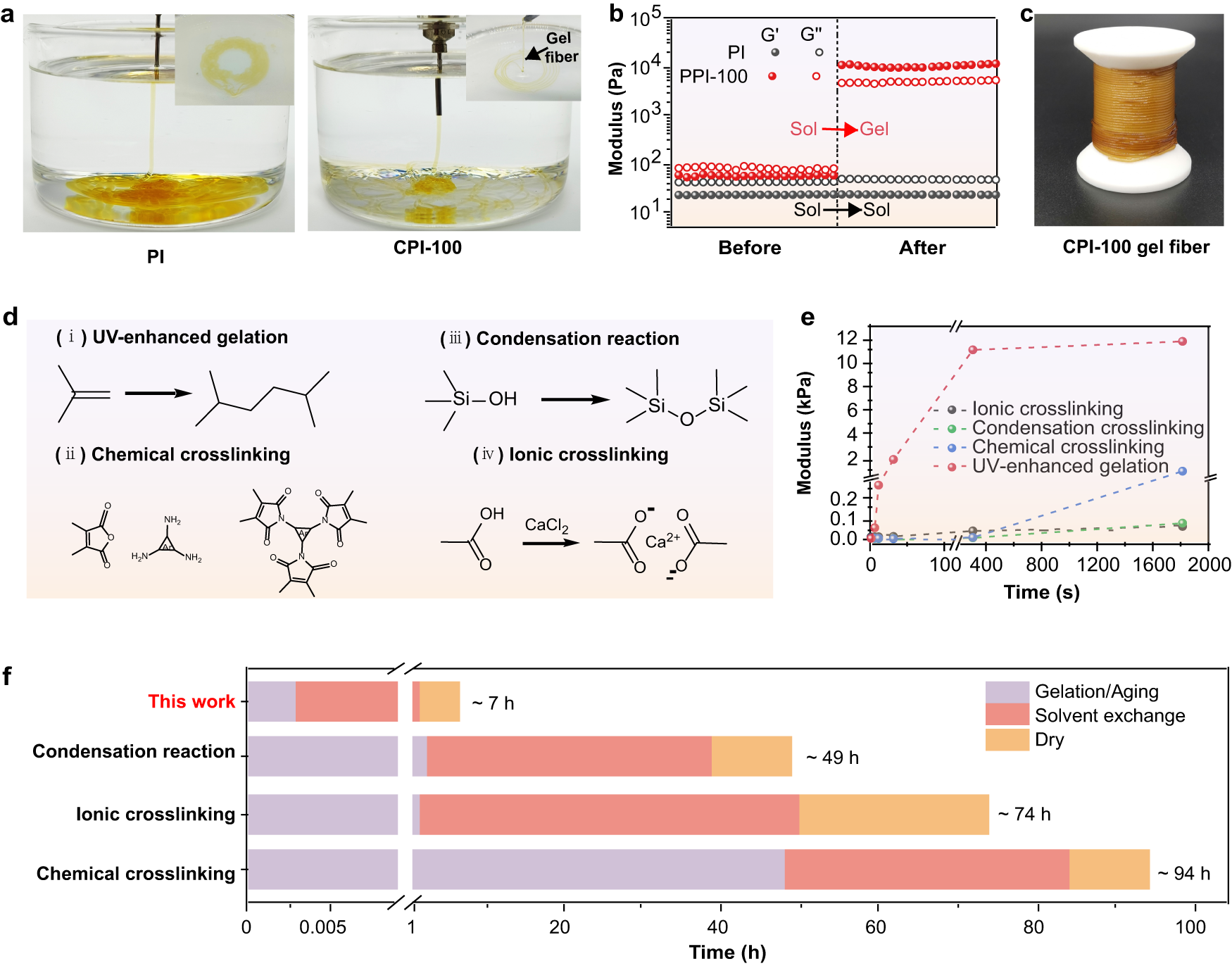 Fig. 3: Gelation and backbone strength of CPI gel fibers.
