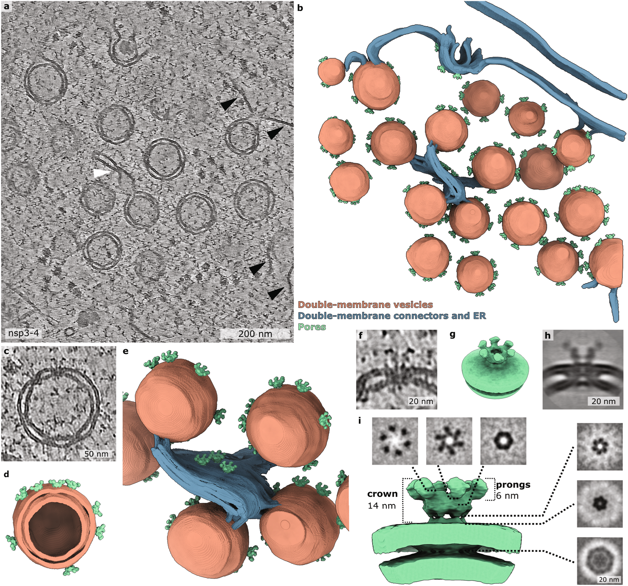 Slow performance, freezing, and hangs in CAM Simulations of Fusion