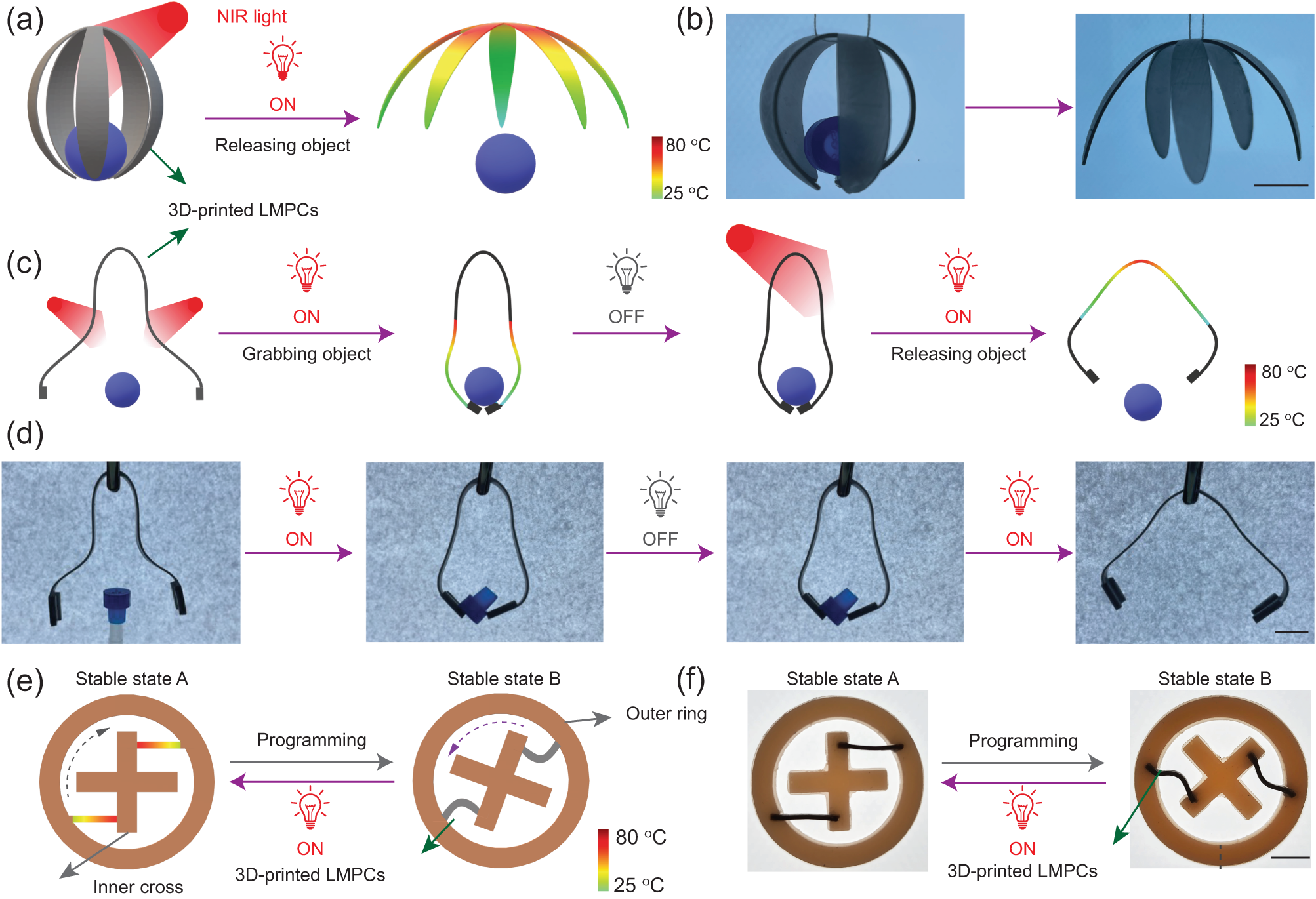 Fig. 6: Application of the 3D-printed LMPCs as near-infrared (NIR)-responsive soft robots.