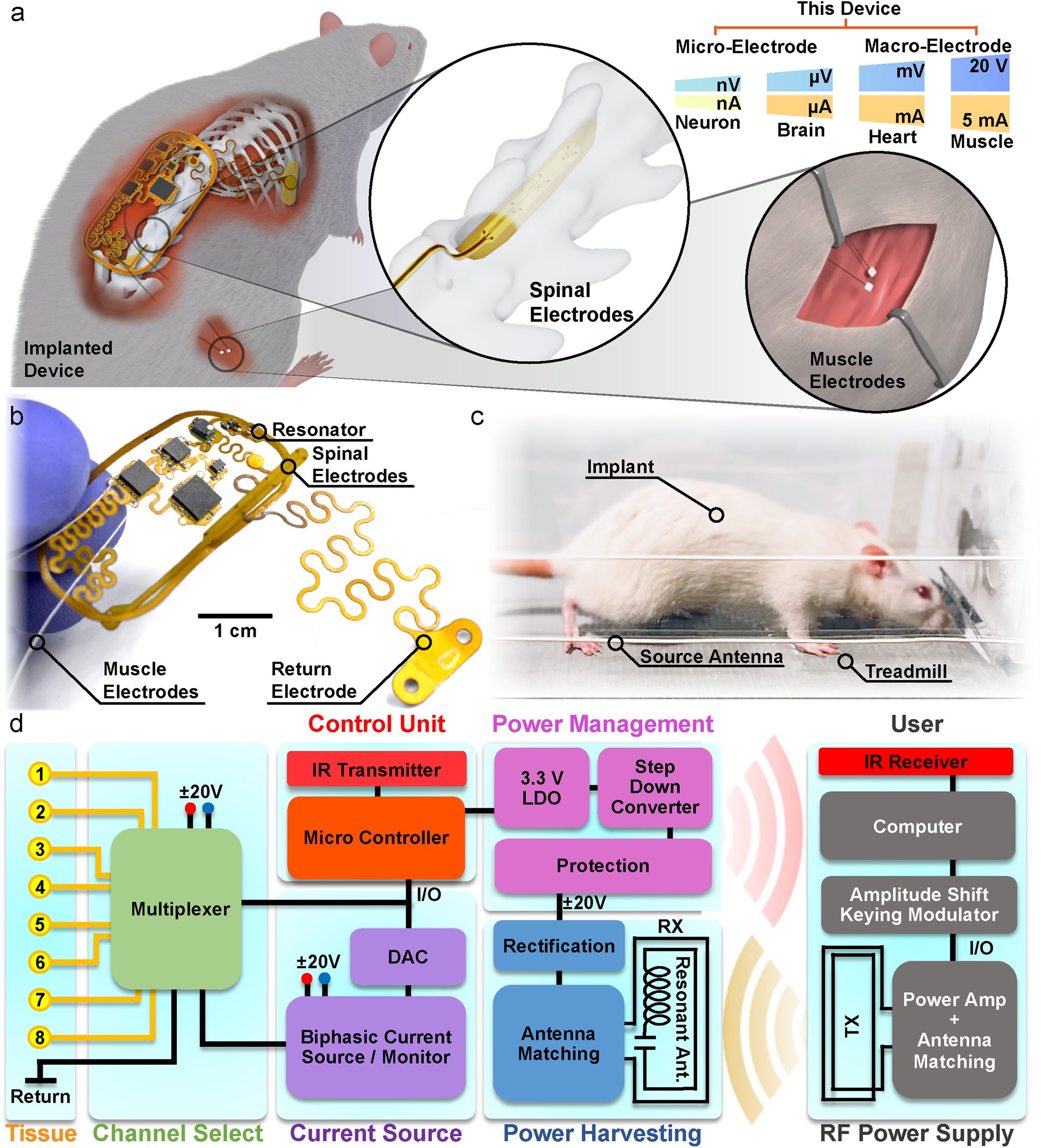 Fully implanted battery-free high power platform for chronic