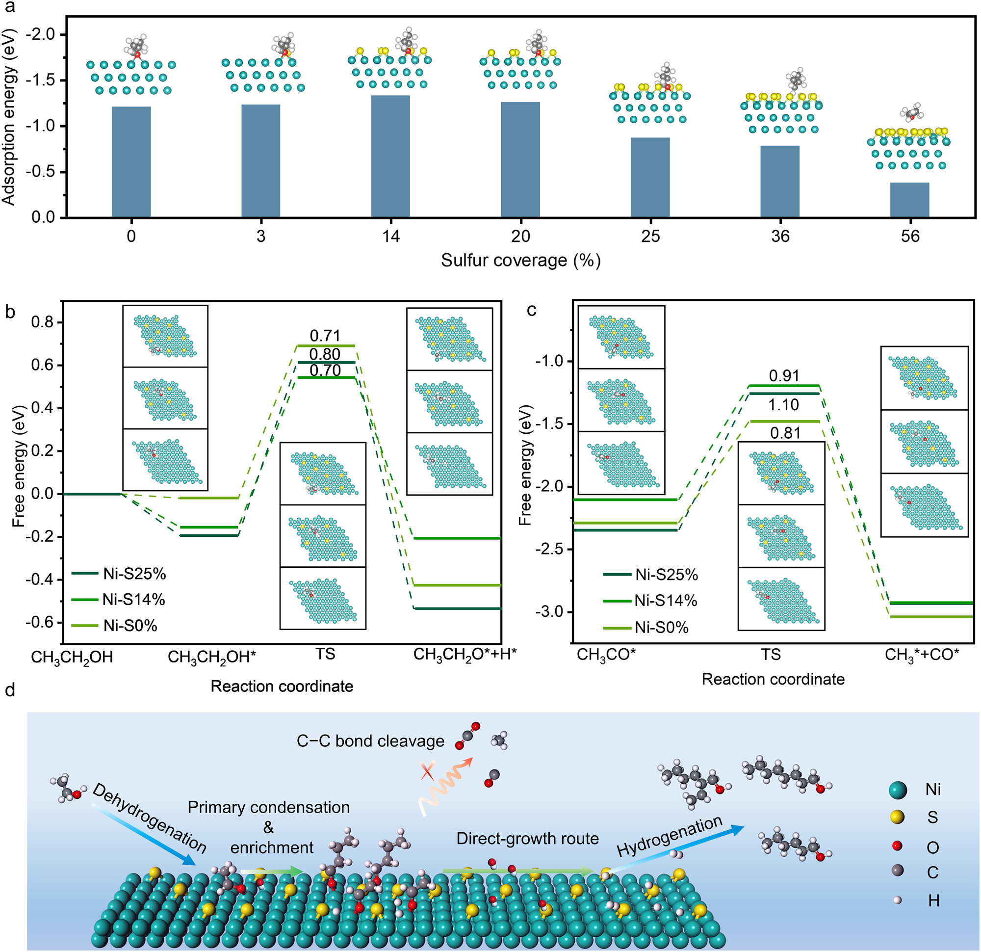 Fig. 4: DFT calculation results and reaction mechanism.