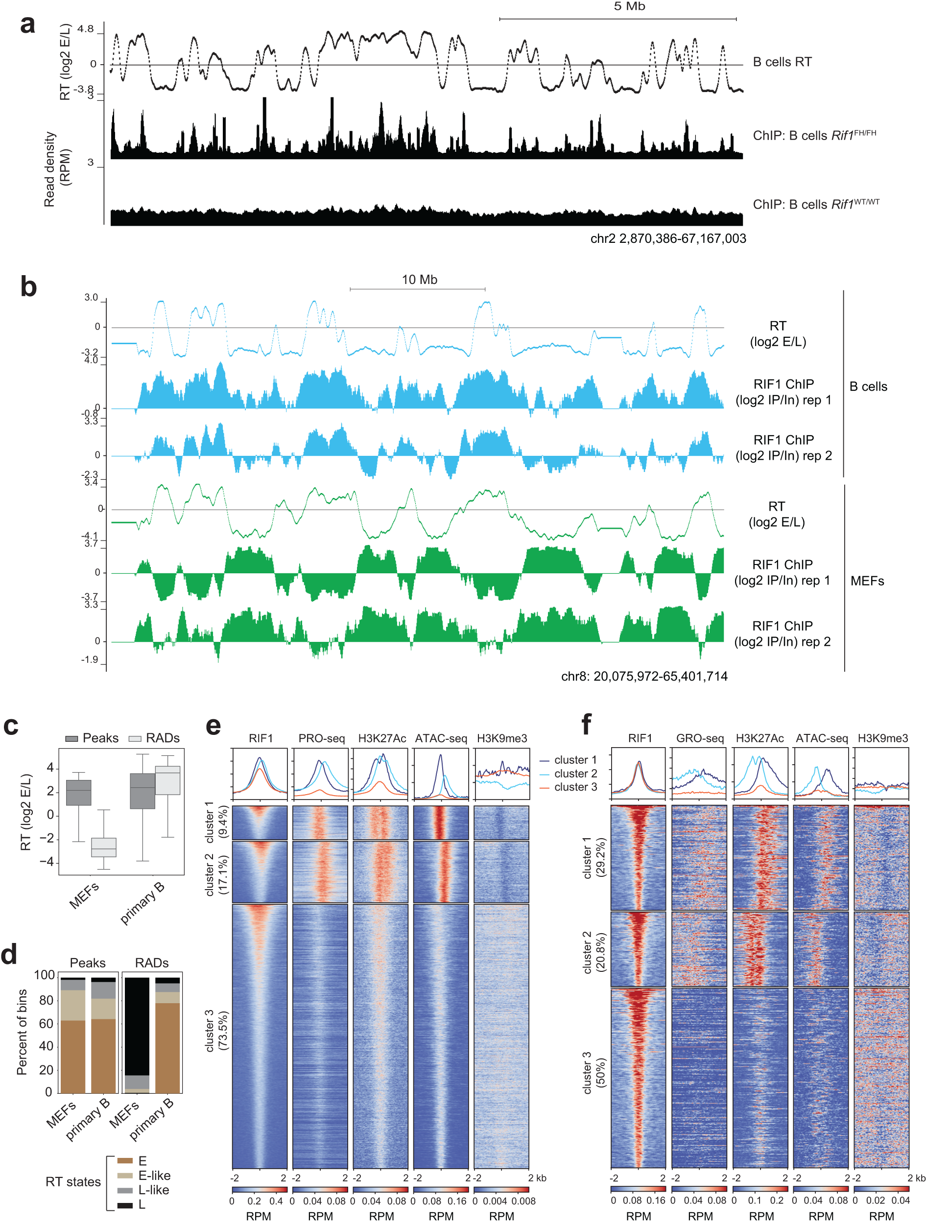 Fig. 3: RIF1 localizes predominantly to active chromatin in activated murine B cells.