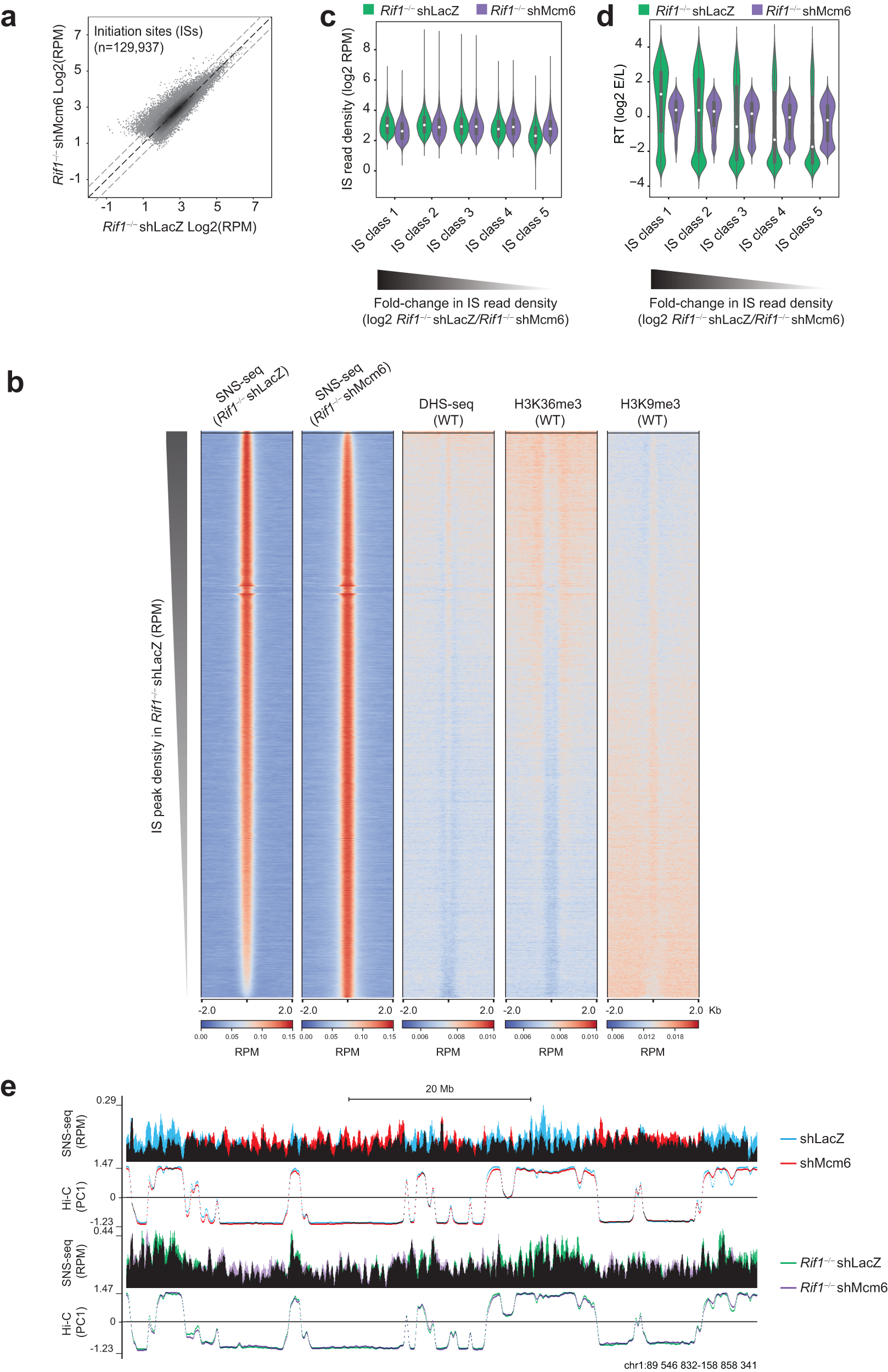 Fig. 6: MCM depletion in Rif1−/− cells leads to a further deregulation of early origin activity.