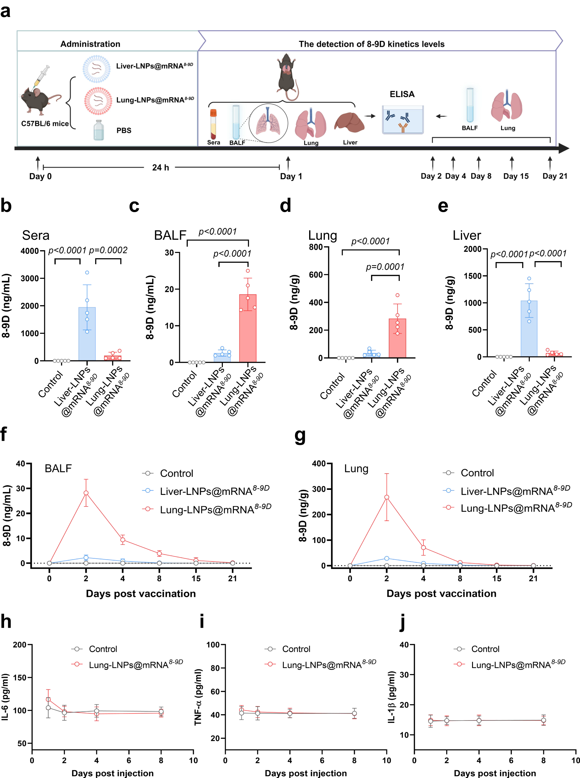 Fig. 4: In vivo activity and protective efficacy of 8-9D mRNA.