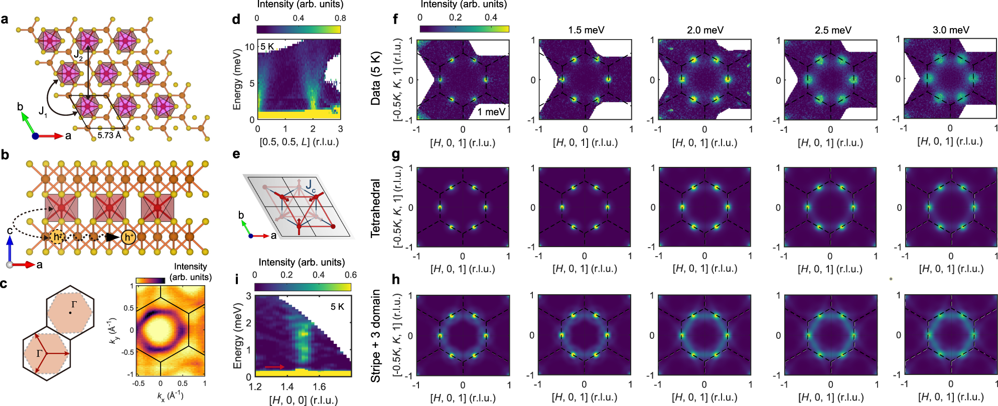 Fig. 3: Stabilization mechanism and dynamical properties of the tetrahedral order in Co1/3TaS2.