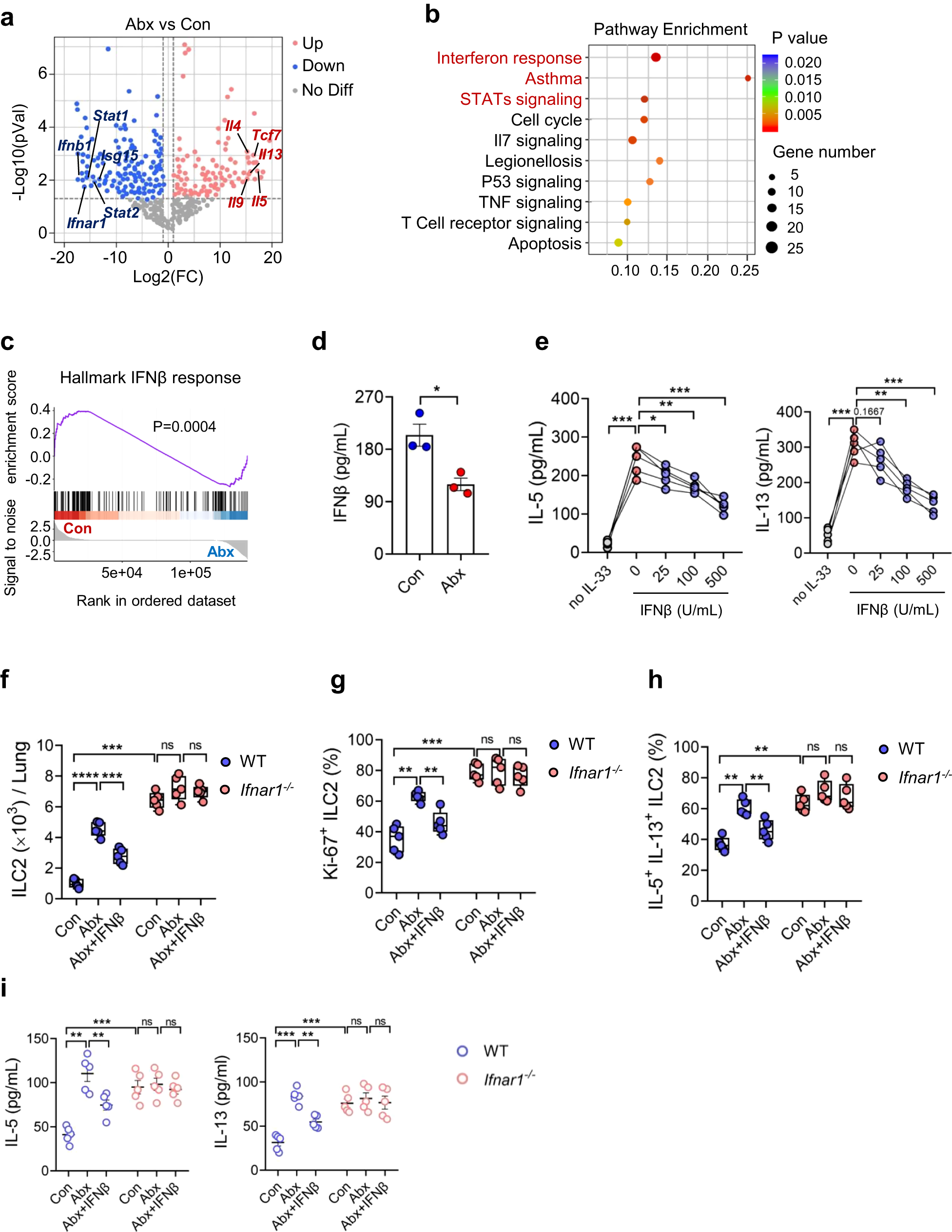 Fig. 4: Maternal antibiotic exposure downregulates IFN1 signaling in neonatal ILC2s.