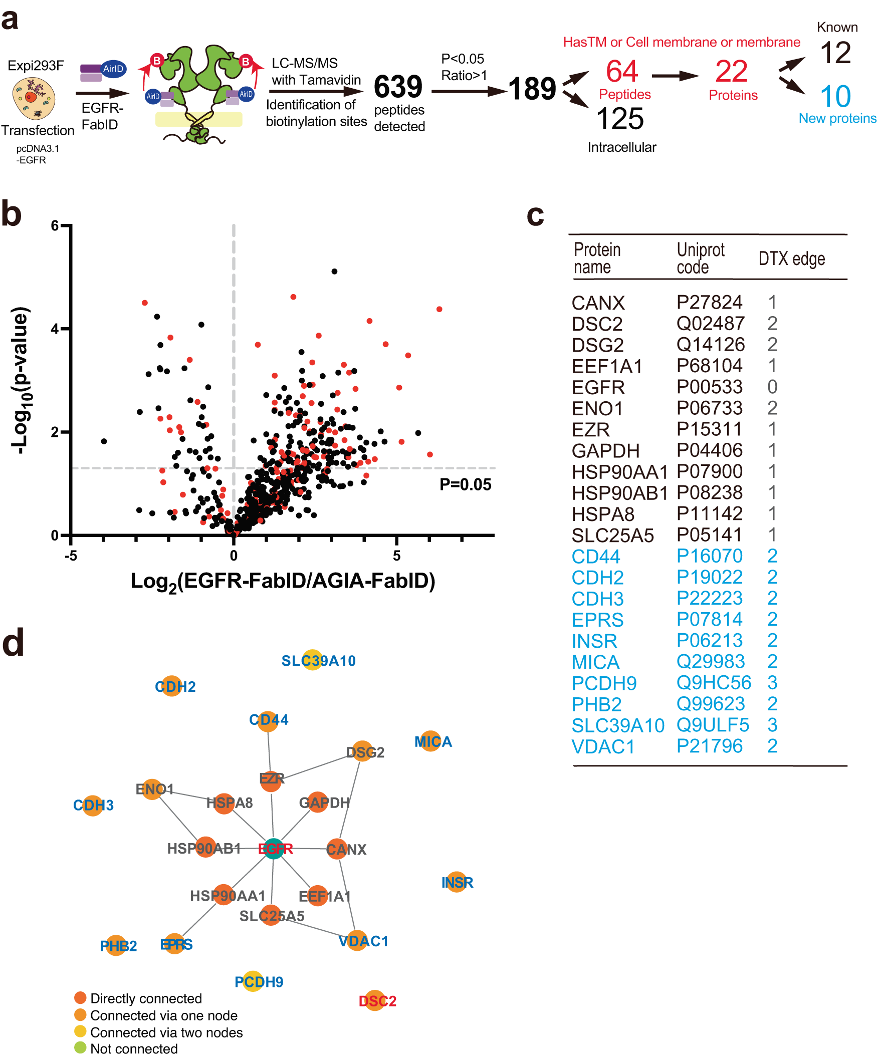 Fig. 3: Proximity extracellular interactome of over-expressing EGFR by EGFR- FabID on cells.