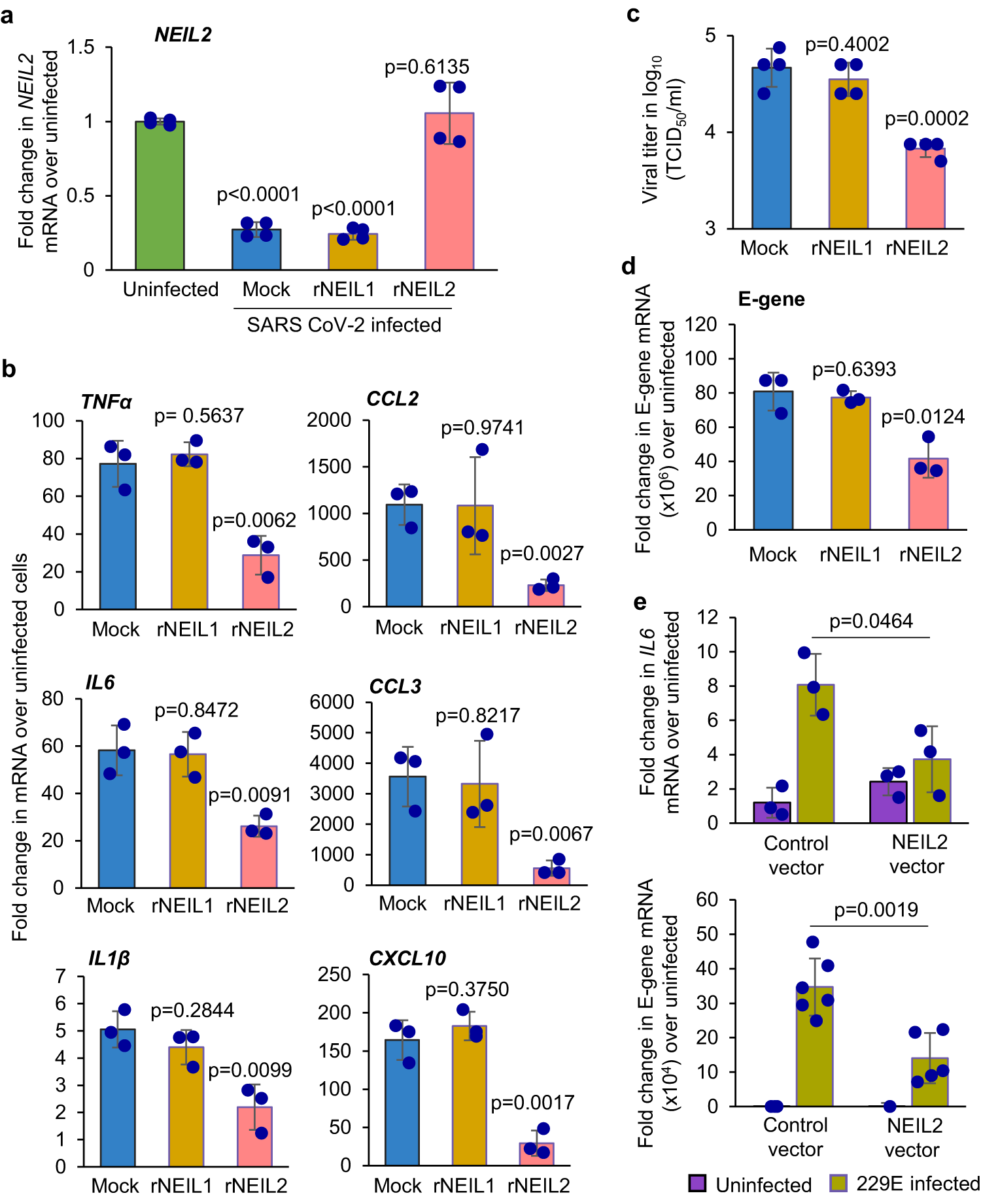 Fig. 4: Effect of rNEIL2 on inflammatory gene expression in A549-ACE2 cells following infection with CoV-2.