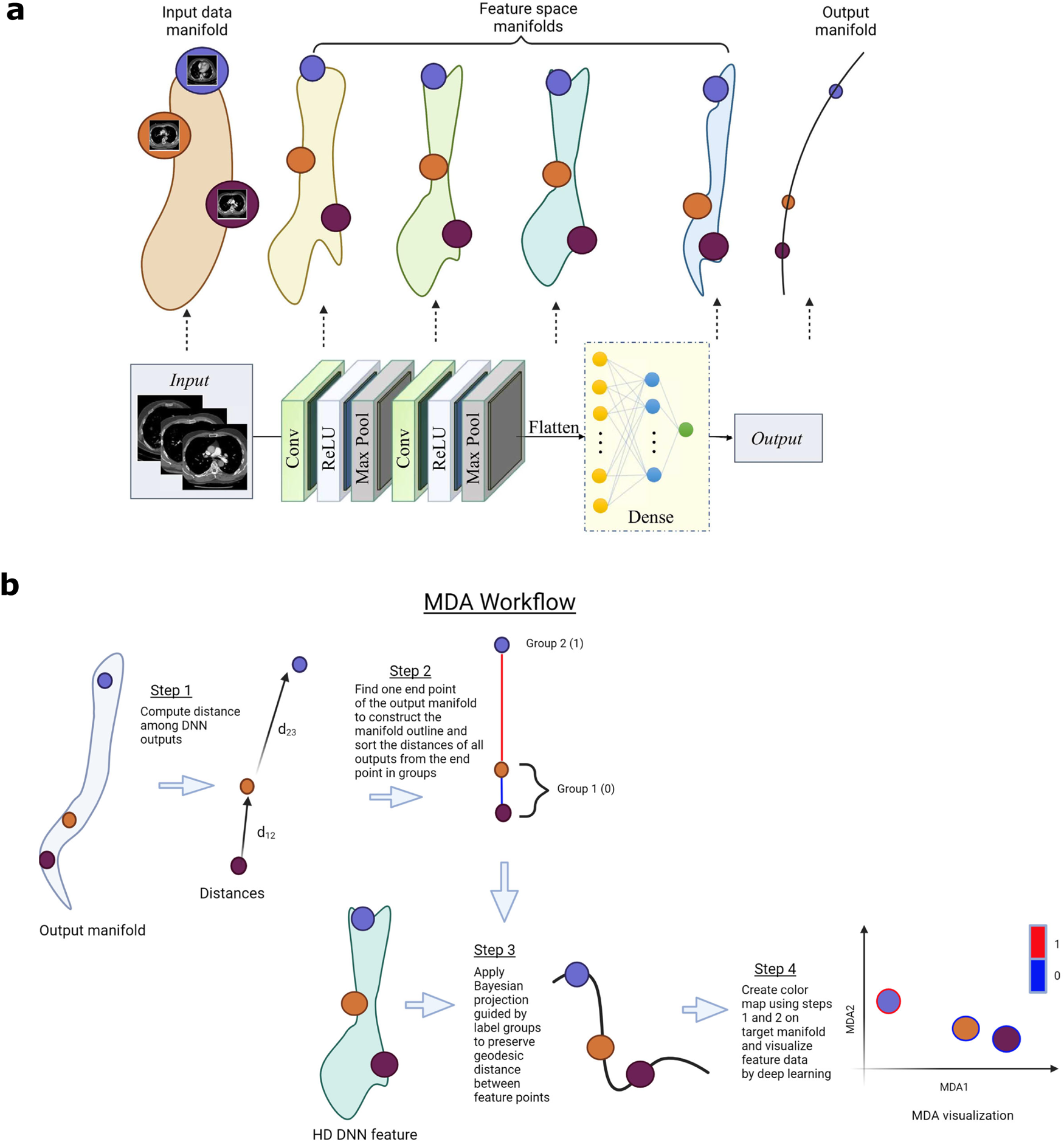 Revealing hidden patterns in deep neural network feature space