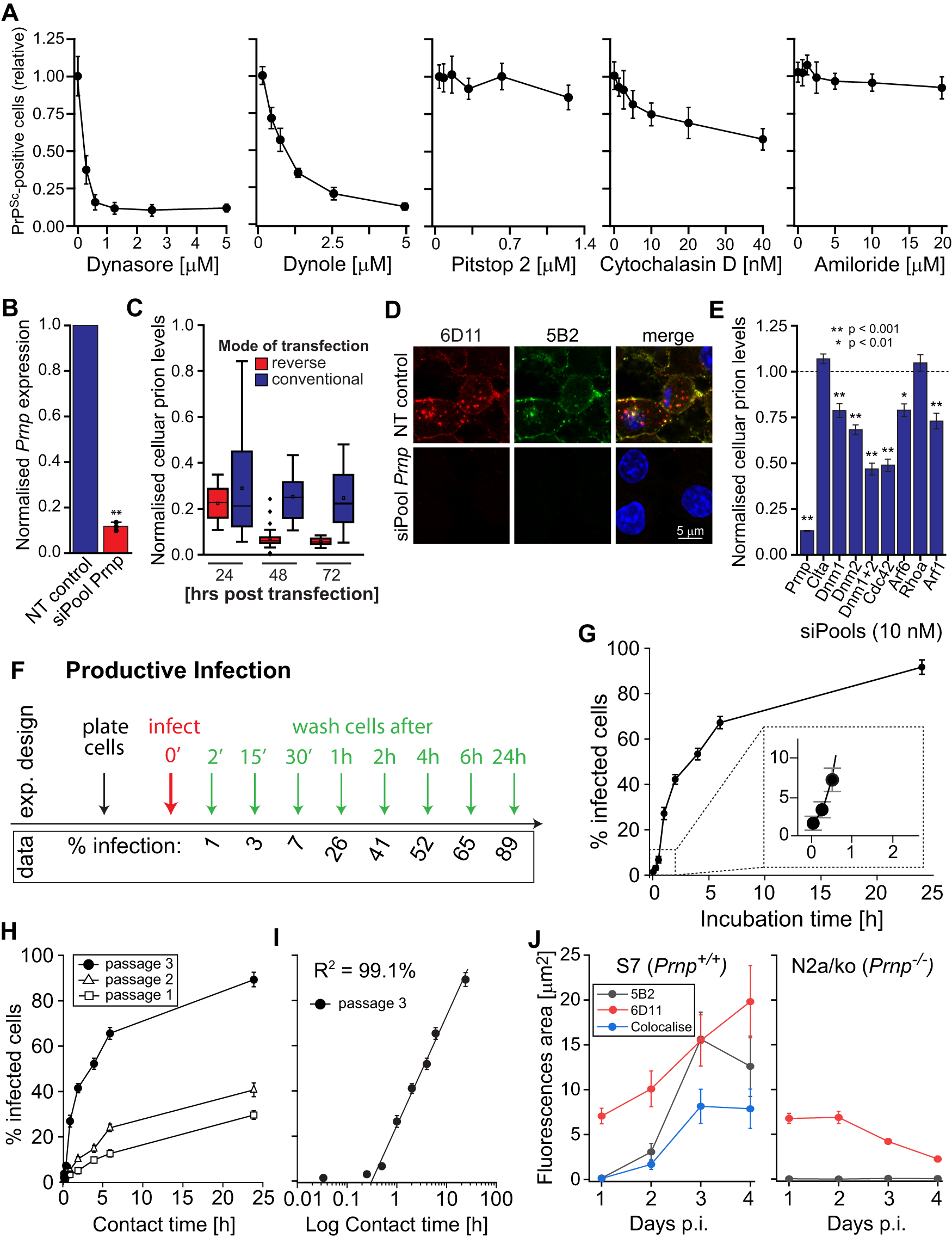 Fig. 5: Identification of PrPd internalisation pathways and the minimum contact time for productive cell infection.