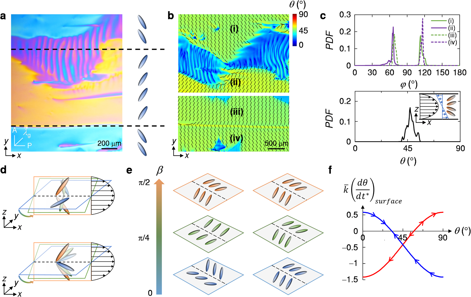 Fig. 2: Flow-induced double-splay and biaxial-splay configurations.