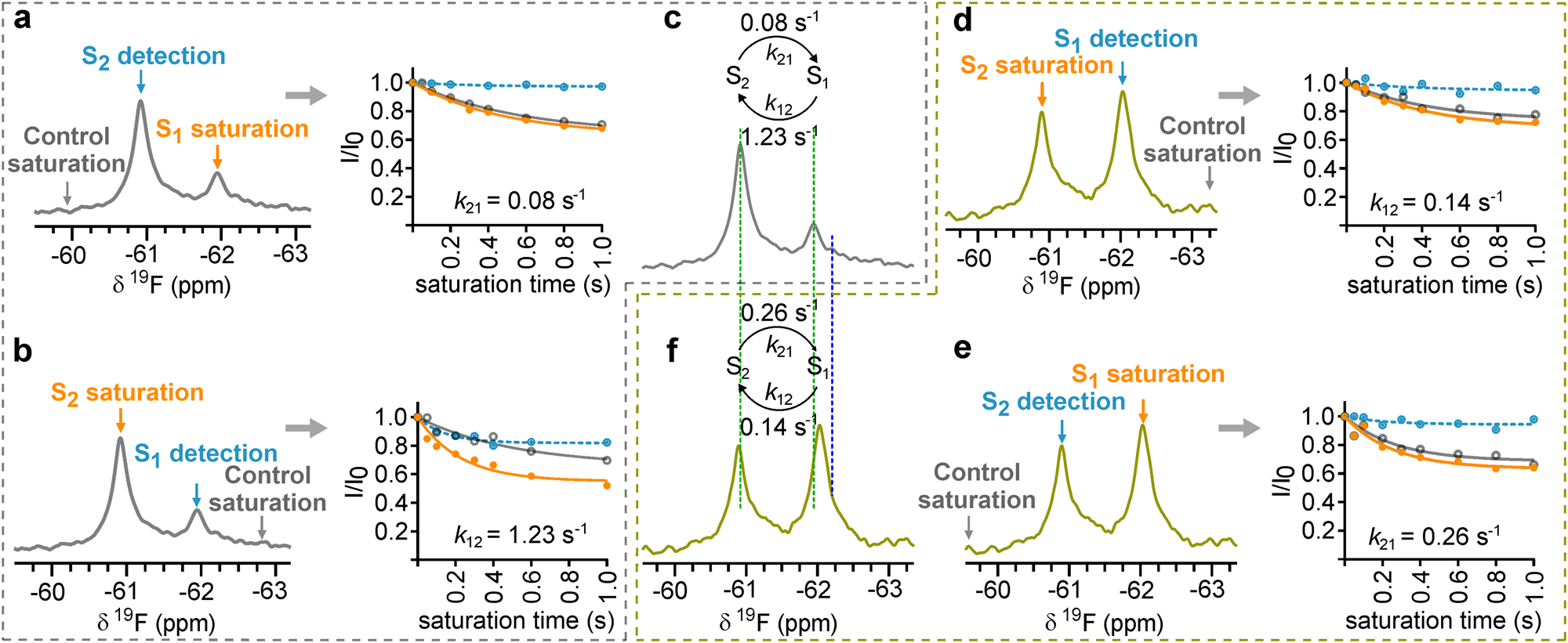Fig. 1: 19F NMR of Y11tfmF-NT8-13 shows slow-exchanging conformational heterogeneity in complex with enNTS1 and enNTS1-R213.