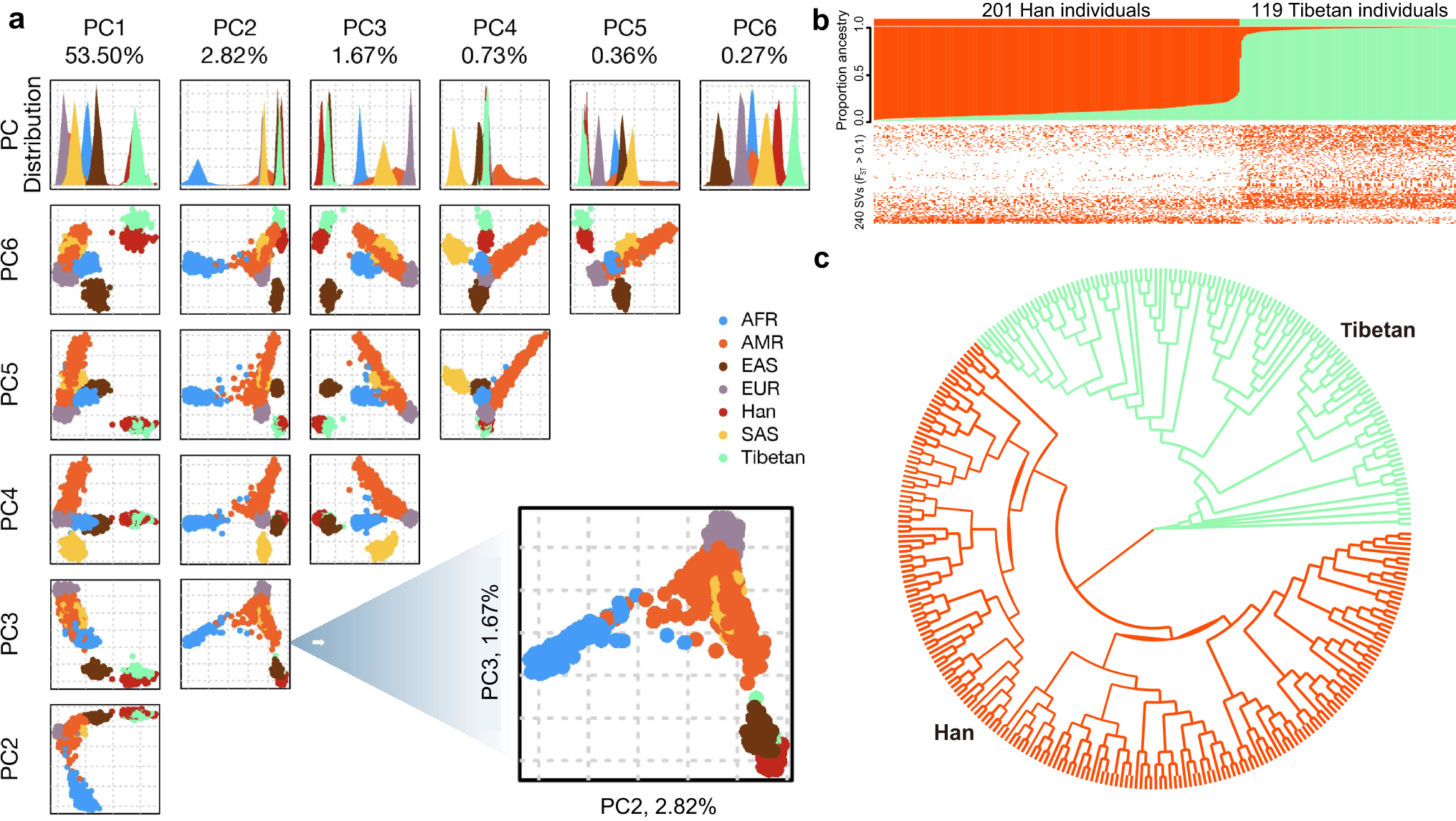 Fig. 3: Population genetics of Han & Tibetan populations.