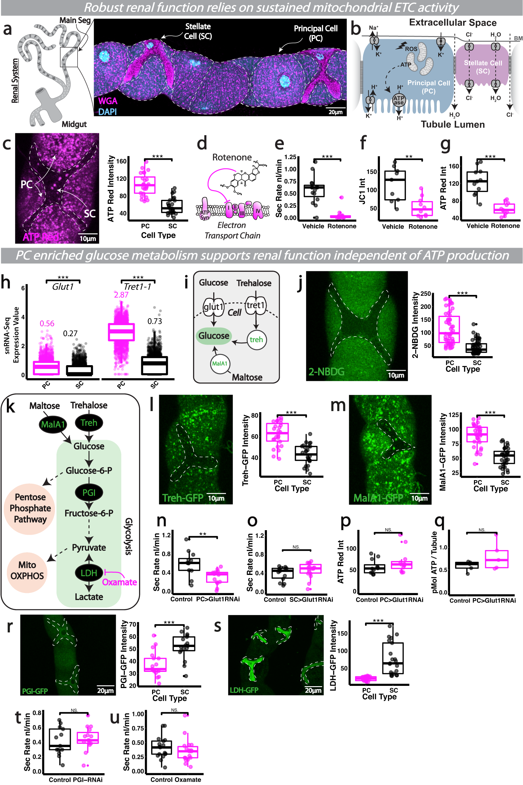 https://media.springernature.com/full/springer-static/image/art%3A10.1038%2Fs41467-023-44098-x/MediaObjects/41467_2023_44098_Fig1_HTML.png