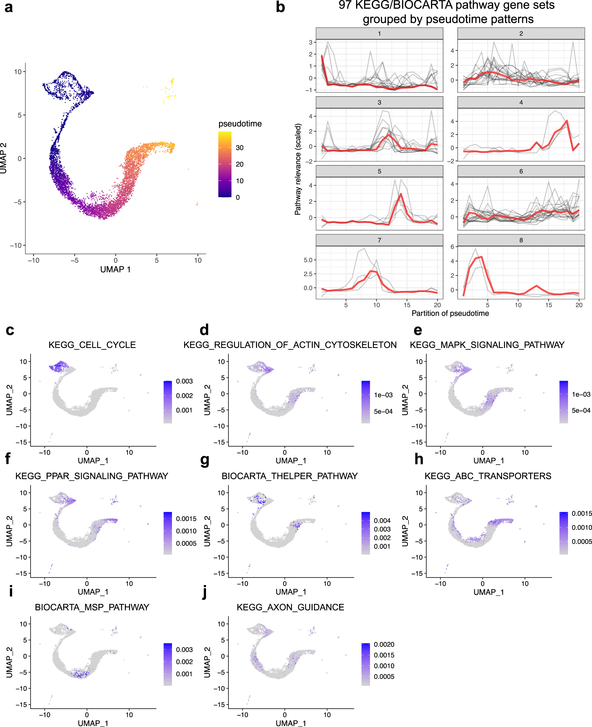 Fig. 4: Applying GSDensity to single-cell trajectory analysis reveals developmental stage related pathways.