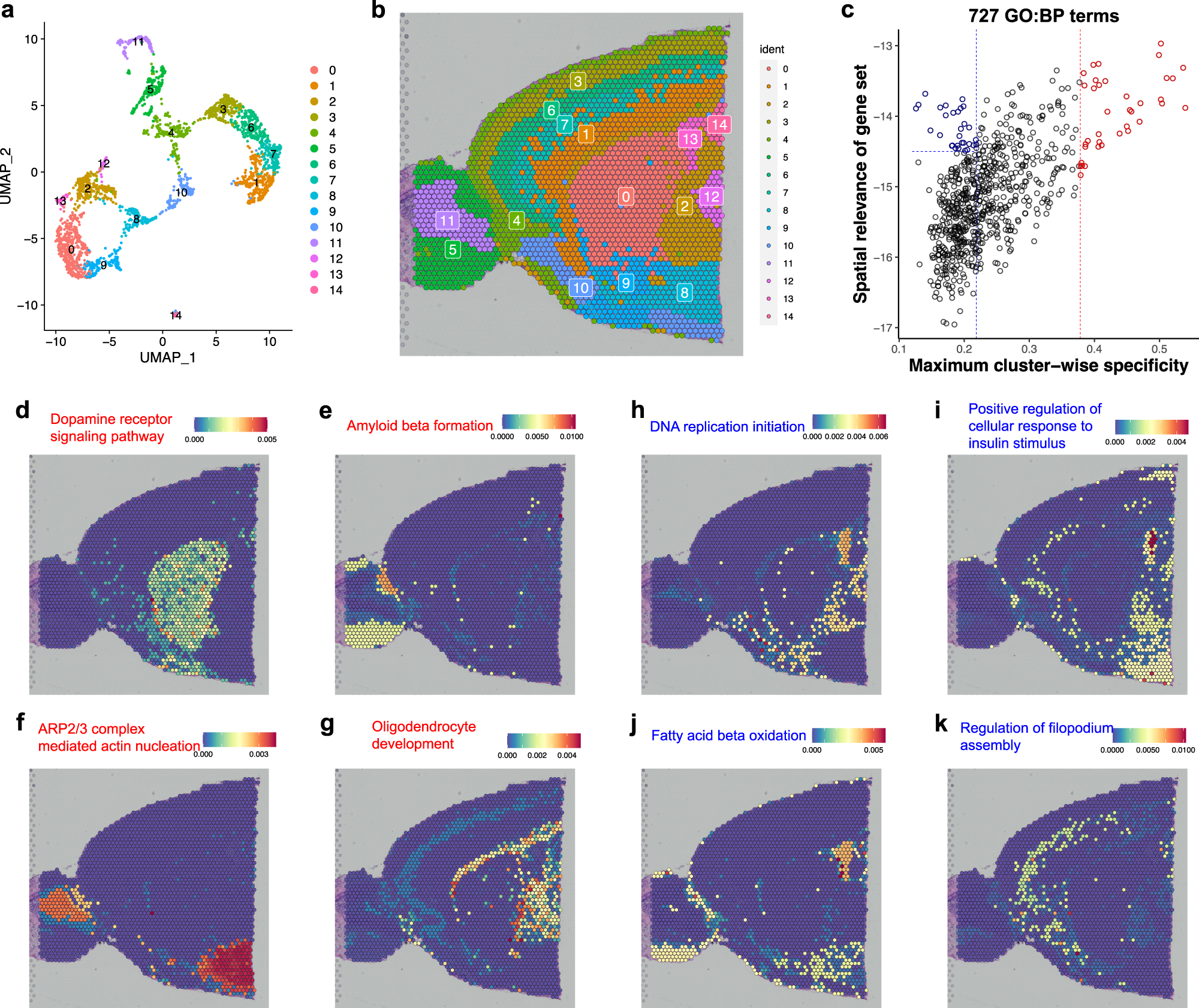 Fig. 5: Applying GSDensity to reveal spatial relevant molecular programs in mouse anterior brain.