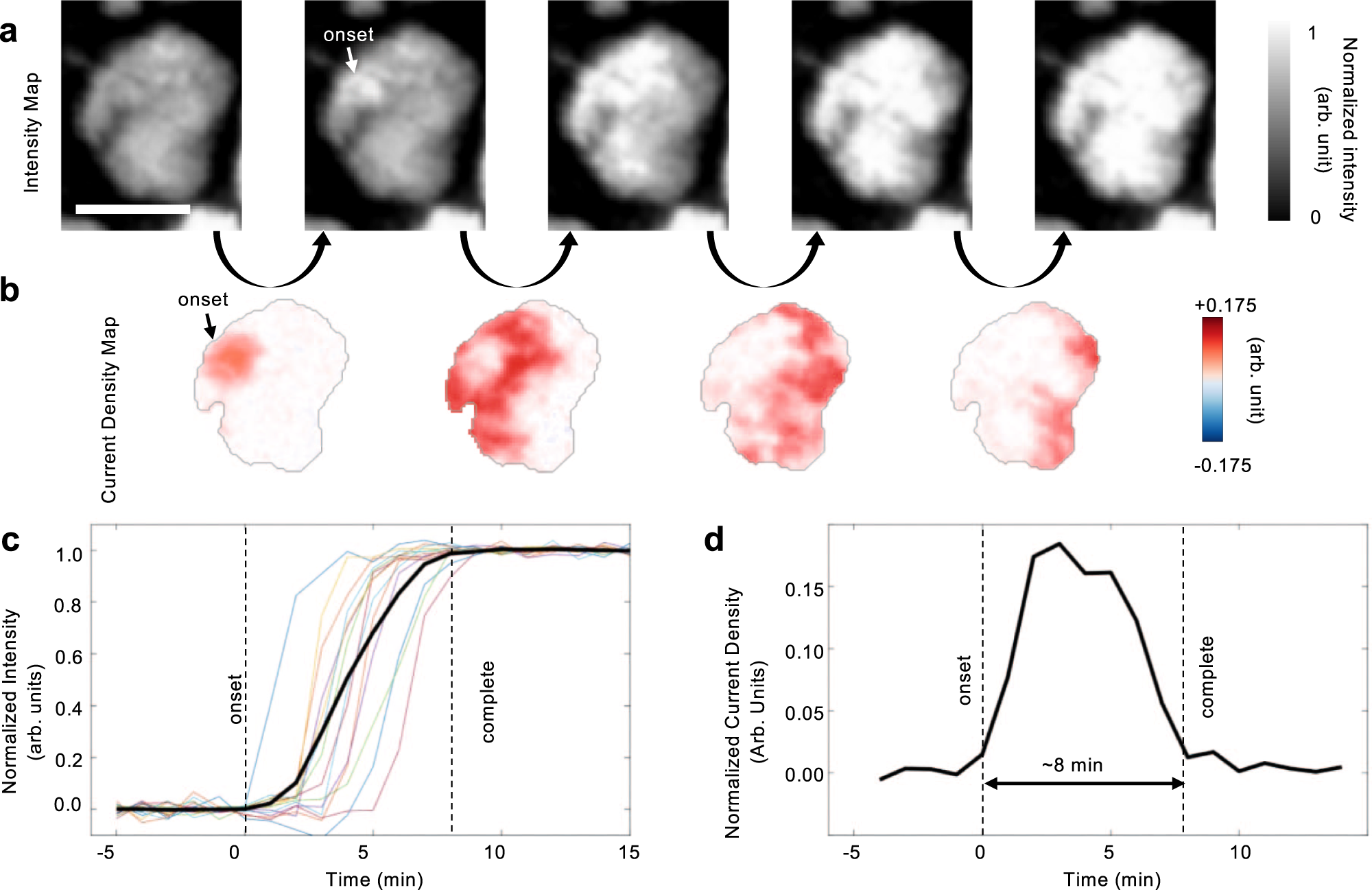 Fig. 2: Visualization and quantification of the lithium-ion diffusion front propagation within an NMC particle.