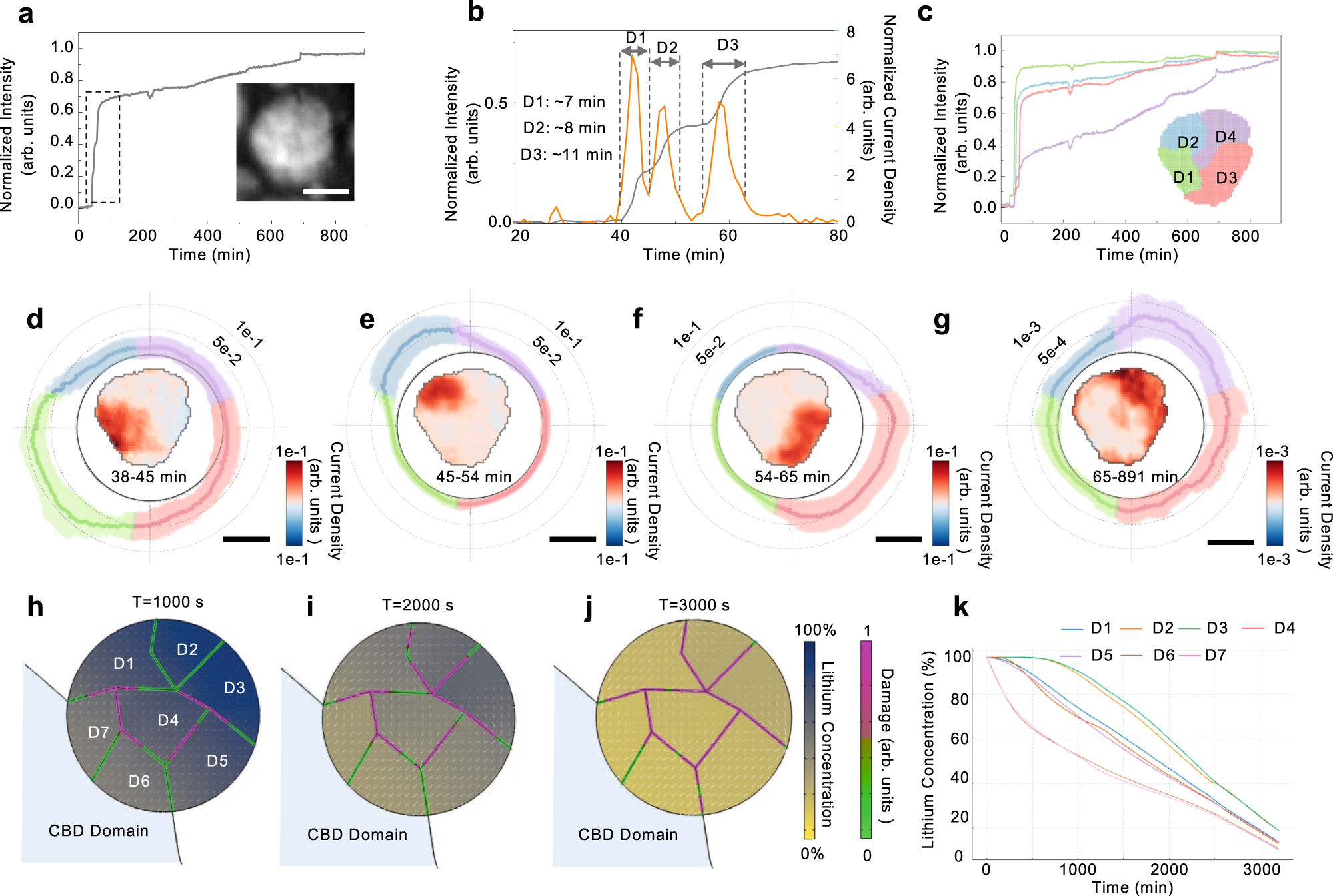 Fig. 3: Heterogeneous domain activity within an NMC particle.