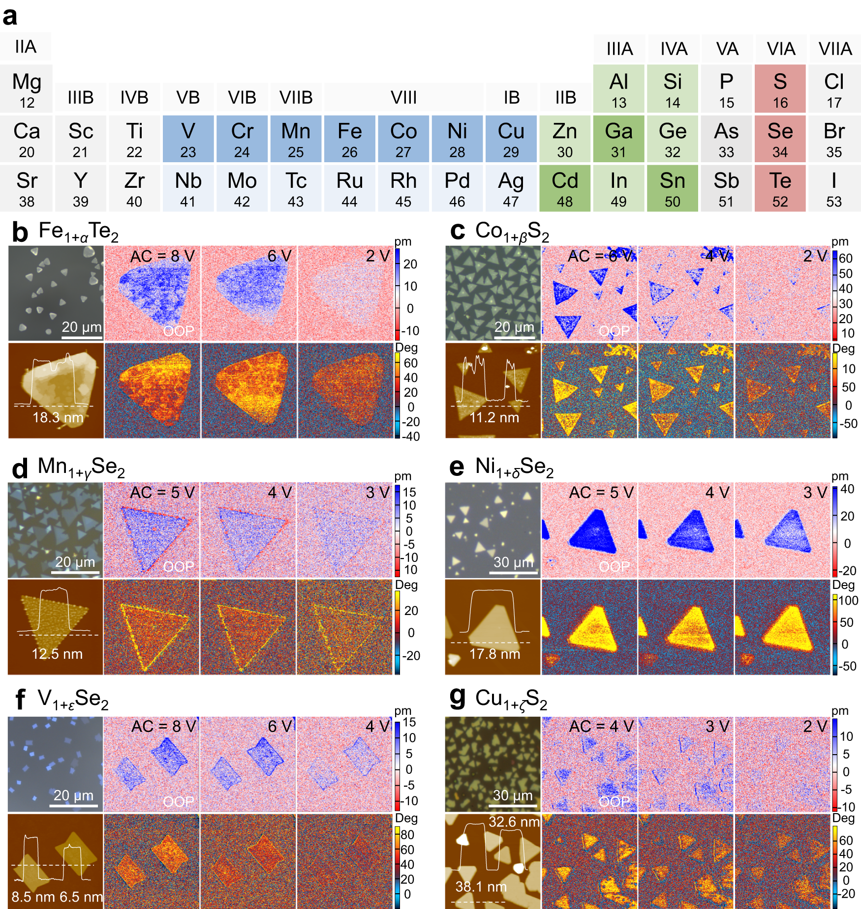 Fig. 2: A library summary of OOP piezo/ferroelectricity in nonstoichiometric 2D metal chalcogenides.