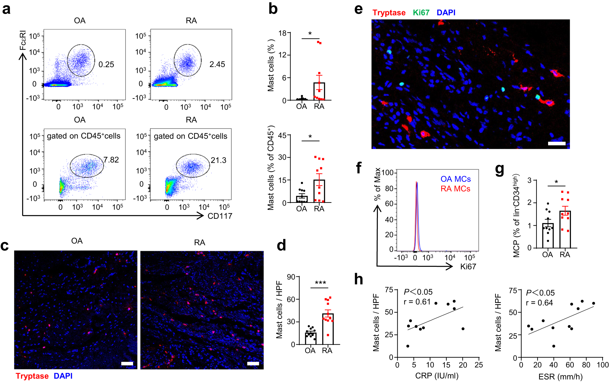 Fig. 1: Frequency of synovial mast cells was increased in RA patients and correlated with disease severity.