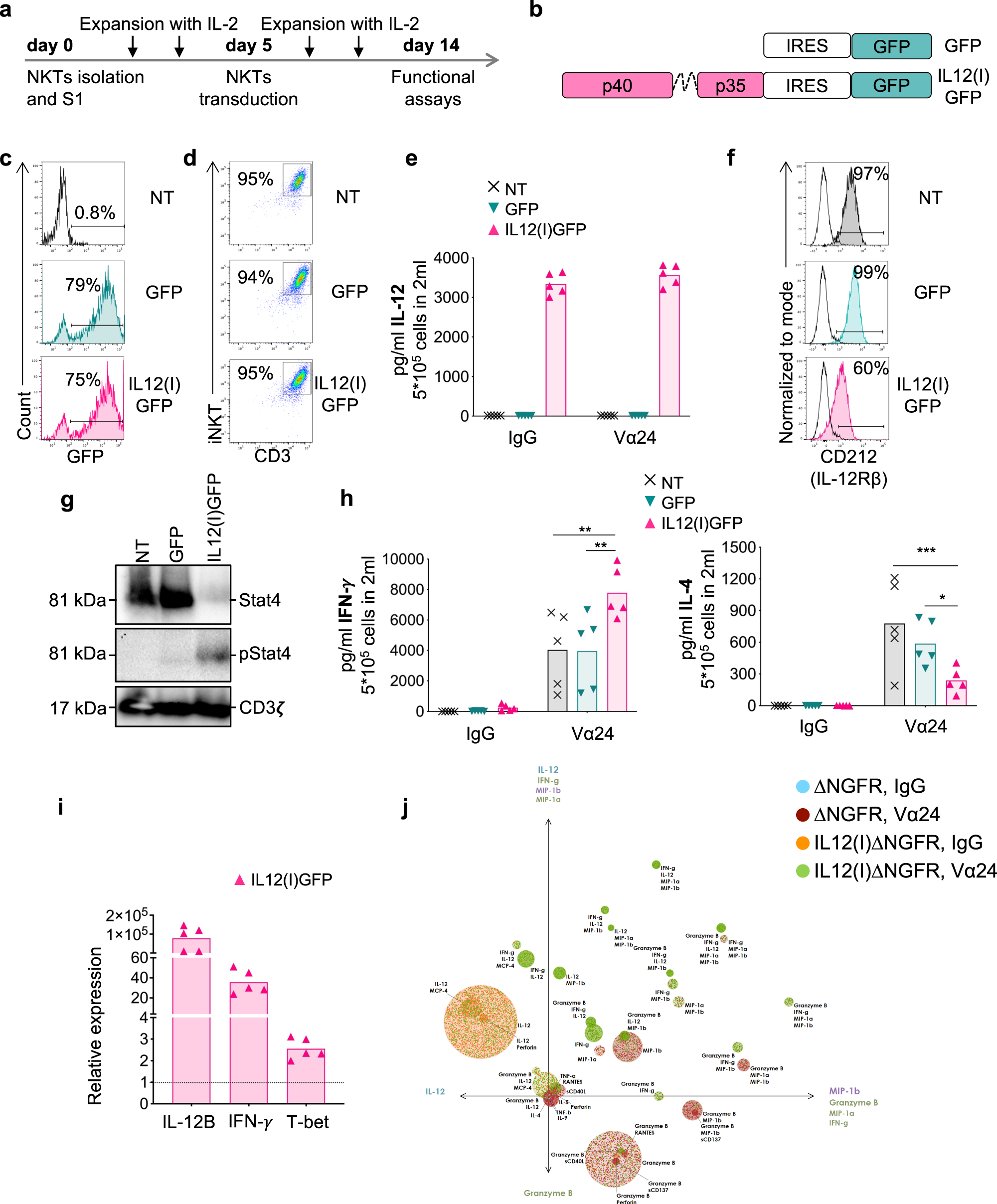 Fig. 1: NKTs expressing IL-12 acquire pro-inflammatory properties.
