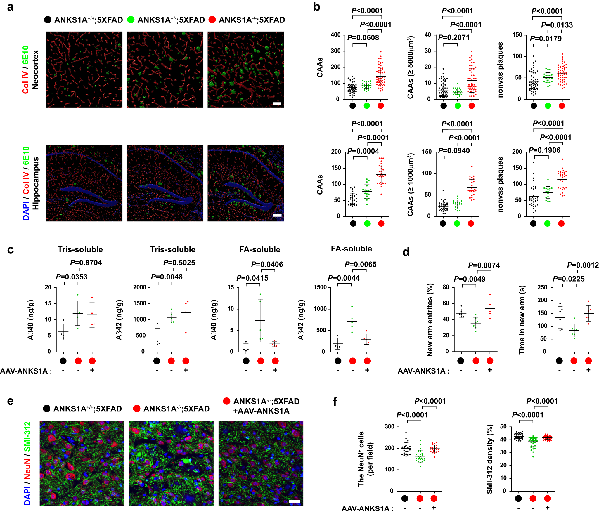 Fig. 5: ANKS1A deficiency exacerbates the AD-related pathology in 5XFAD mice and its adverse effect is reversed by ANKS1A gene delivery.