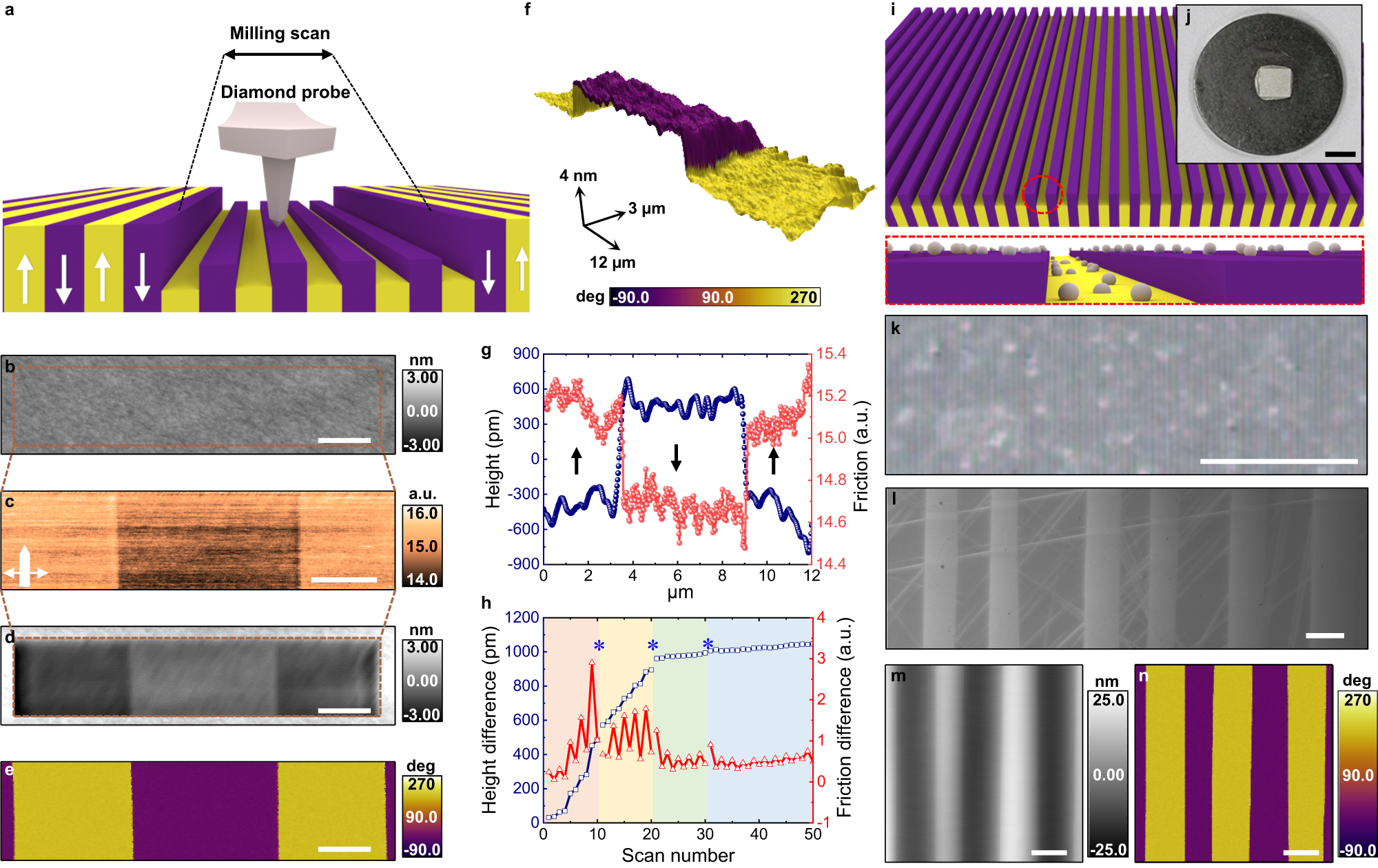 Switchable tribology of ferroelectrics | Nature Communications