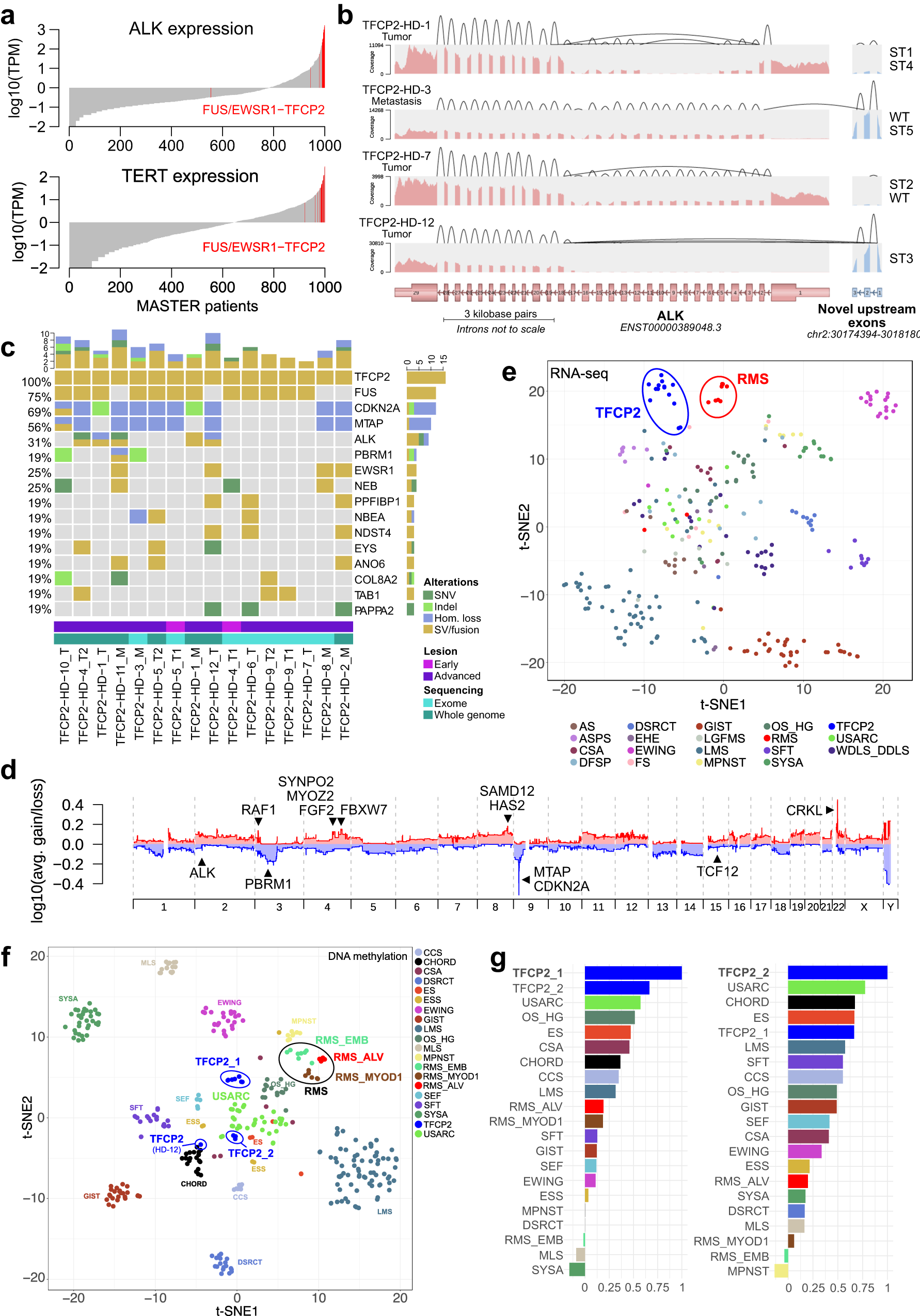 Fig. 2: Genetic characteristics of FUS/EWSR1-TFCP2 sarcoma.