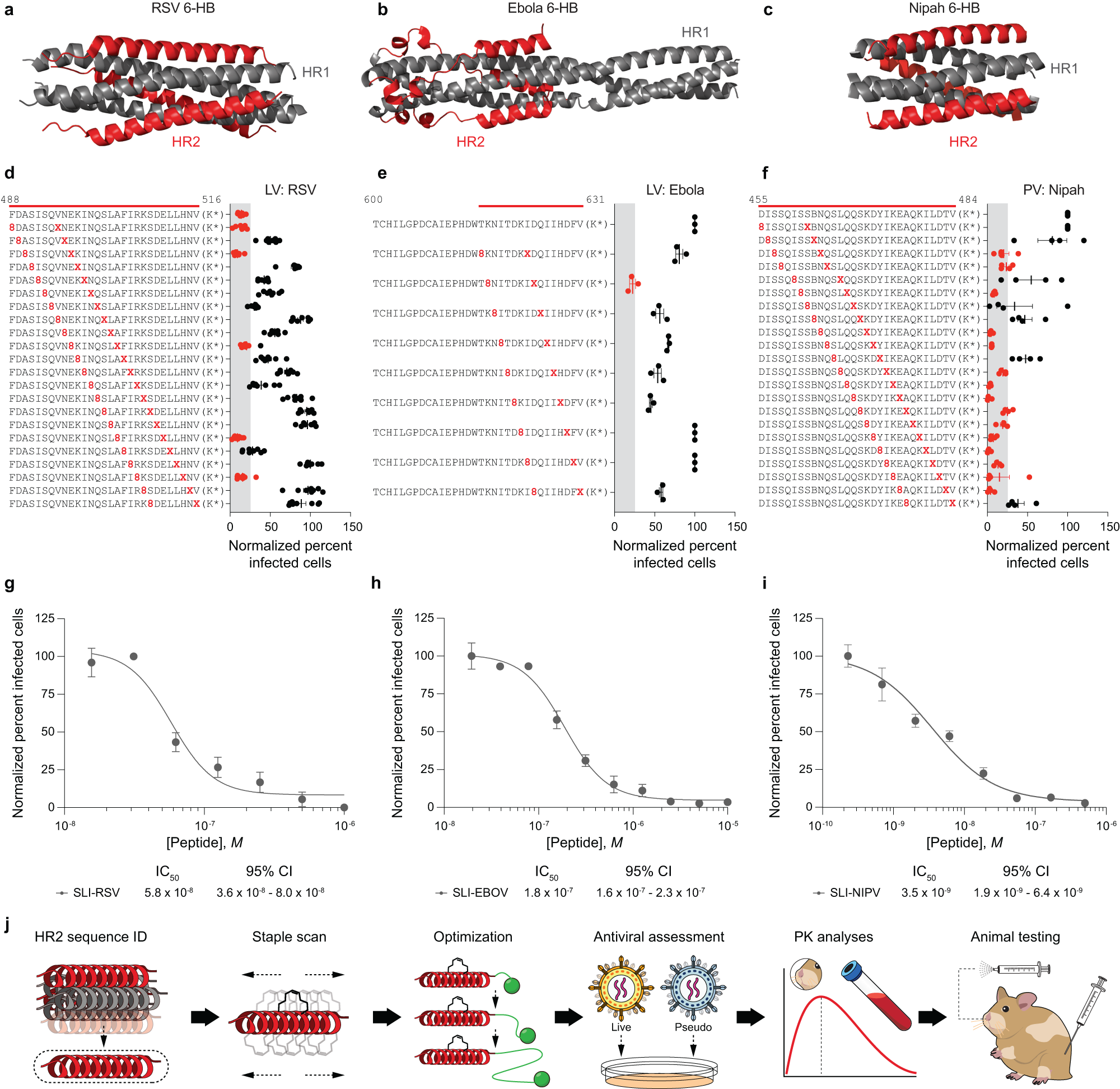 Fig. 6: Development of lead stapled lipopeptide inhibitors of RSV, Ebola, and Nipah viruses.
