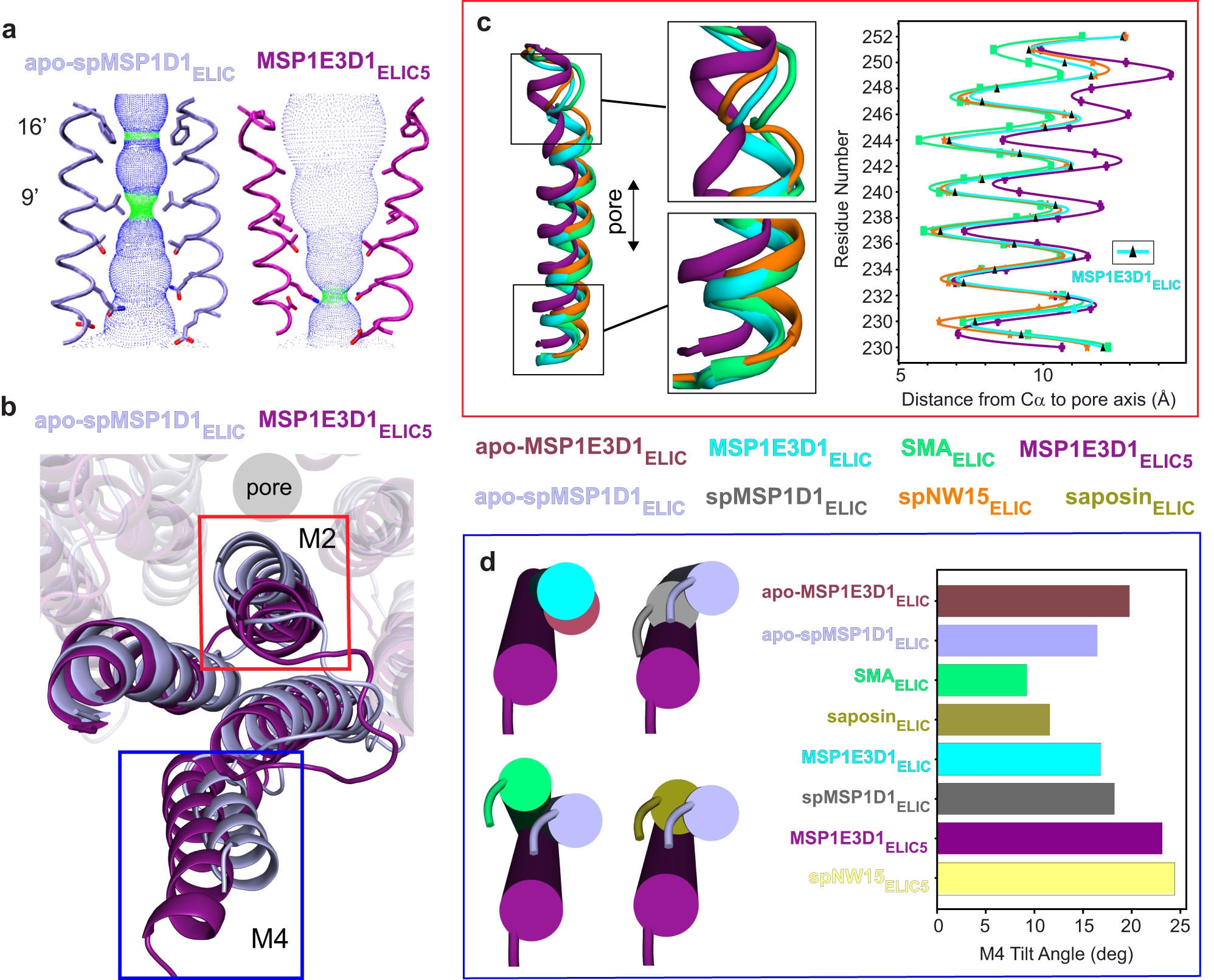 Fig. 2: Transmembrane domain (TMD) of ELIC in different nanodiscs.