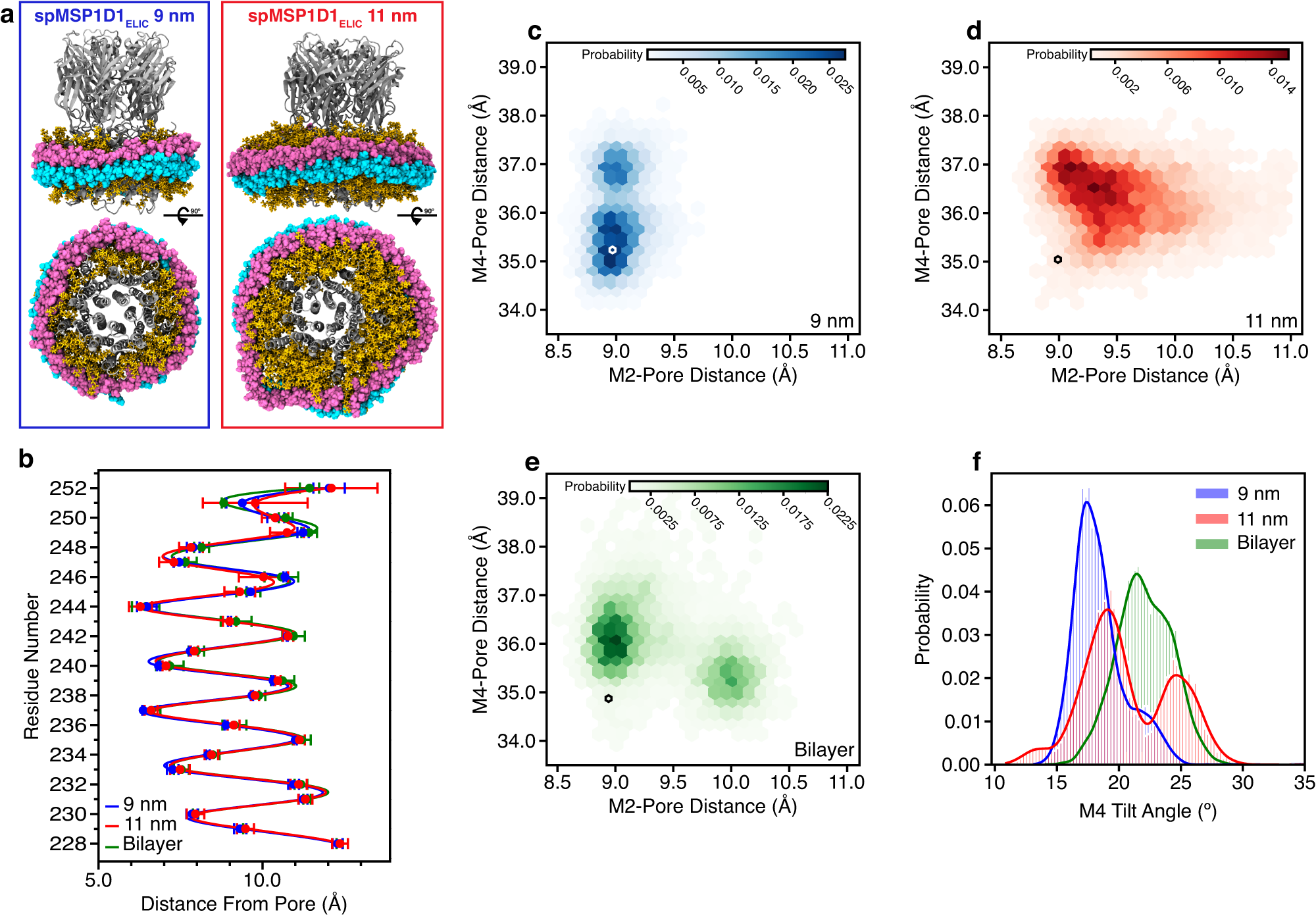 Fig. 4: Structure of ELIC in nanodiscs from MD simulations.