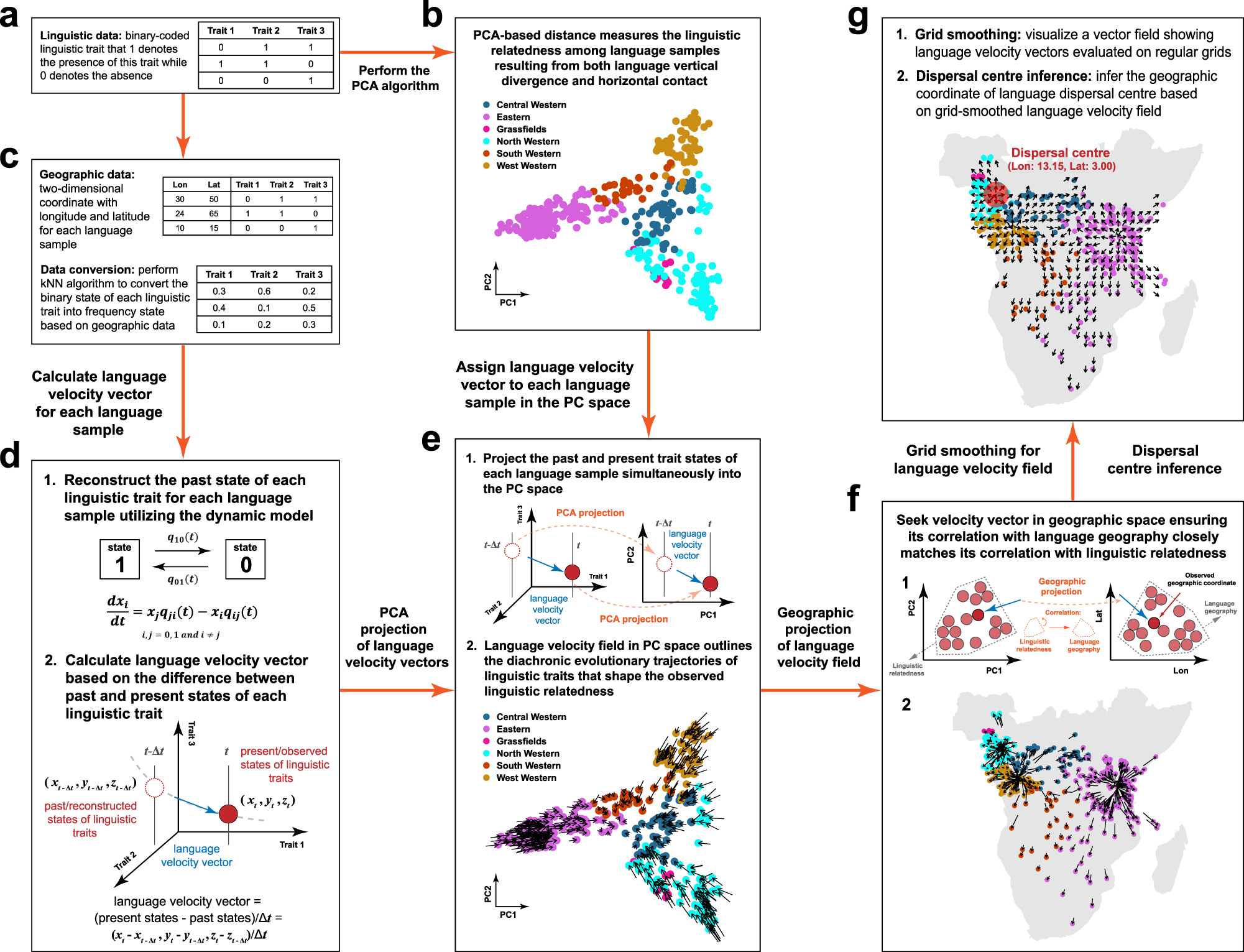 Inferring language dispersal patterns with velocity field 