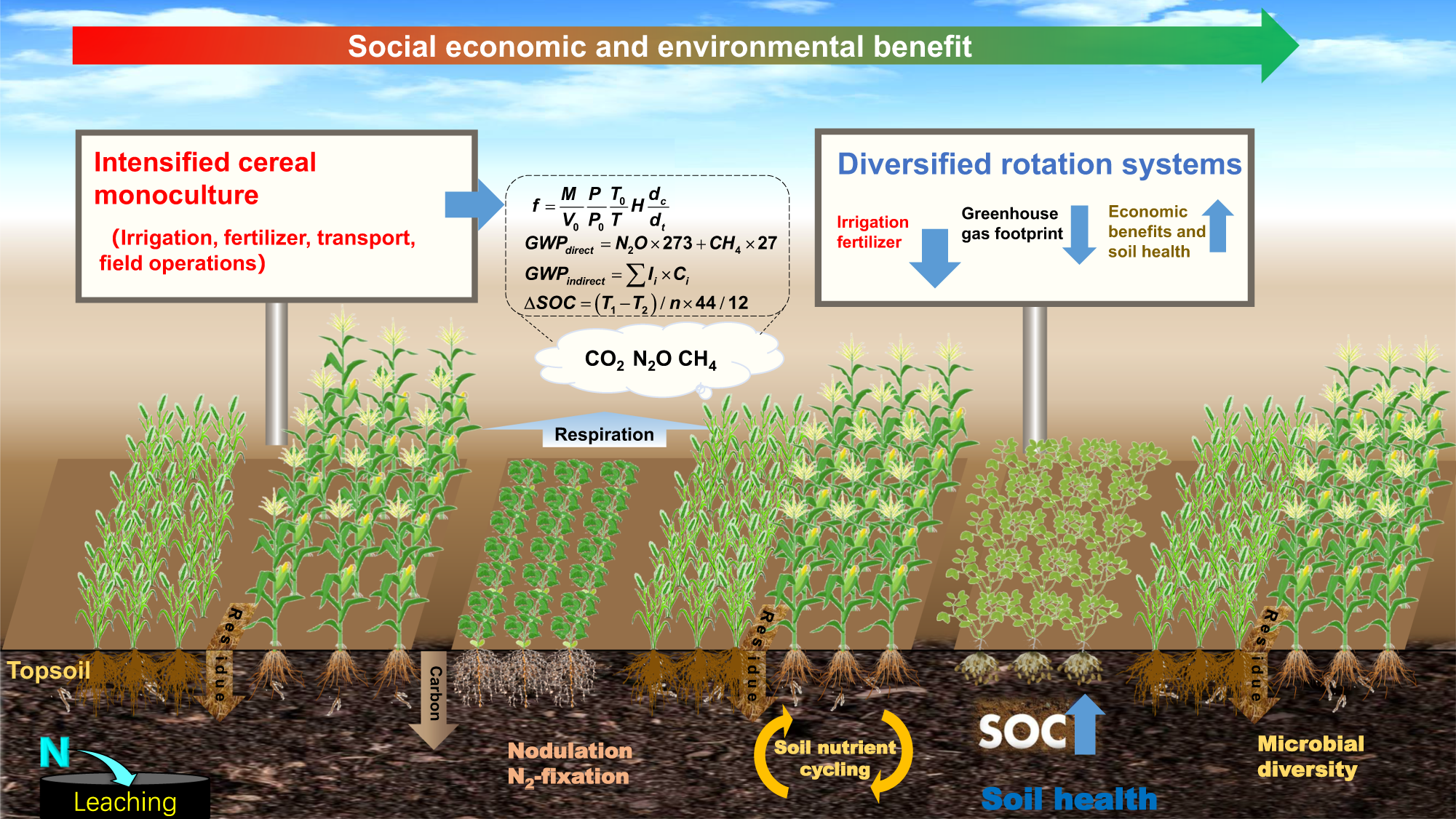 Integrated Farming System for Maximum Sustainability