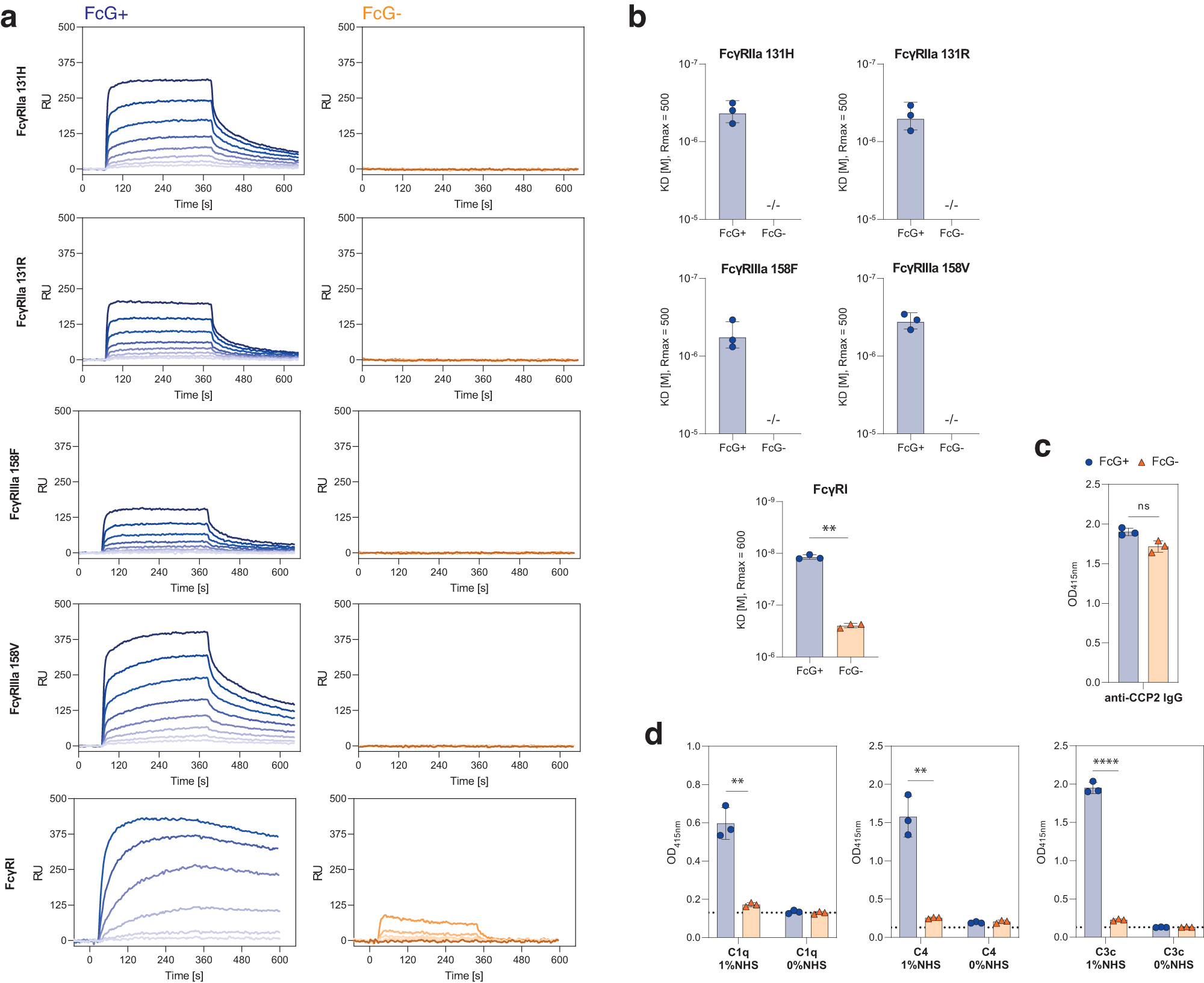 Fig. 7: Impact of IgG FcG on the recruitment of effector functions.