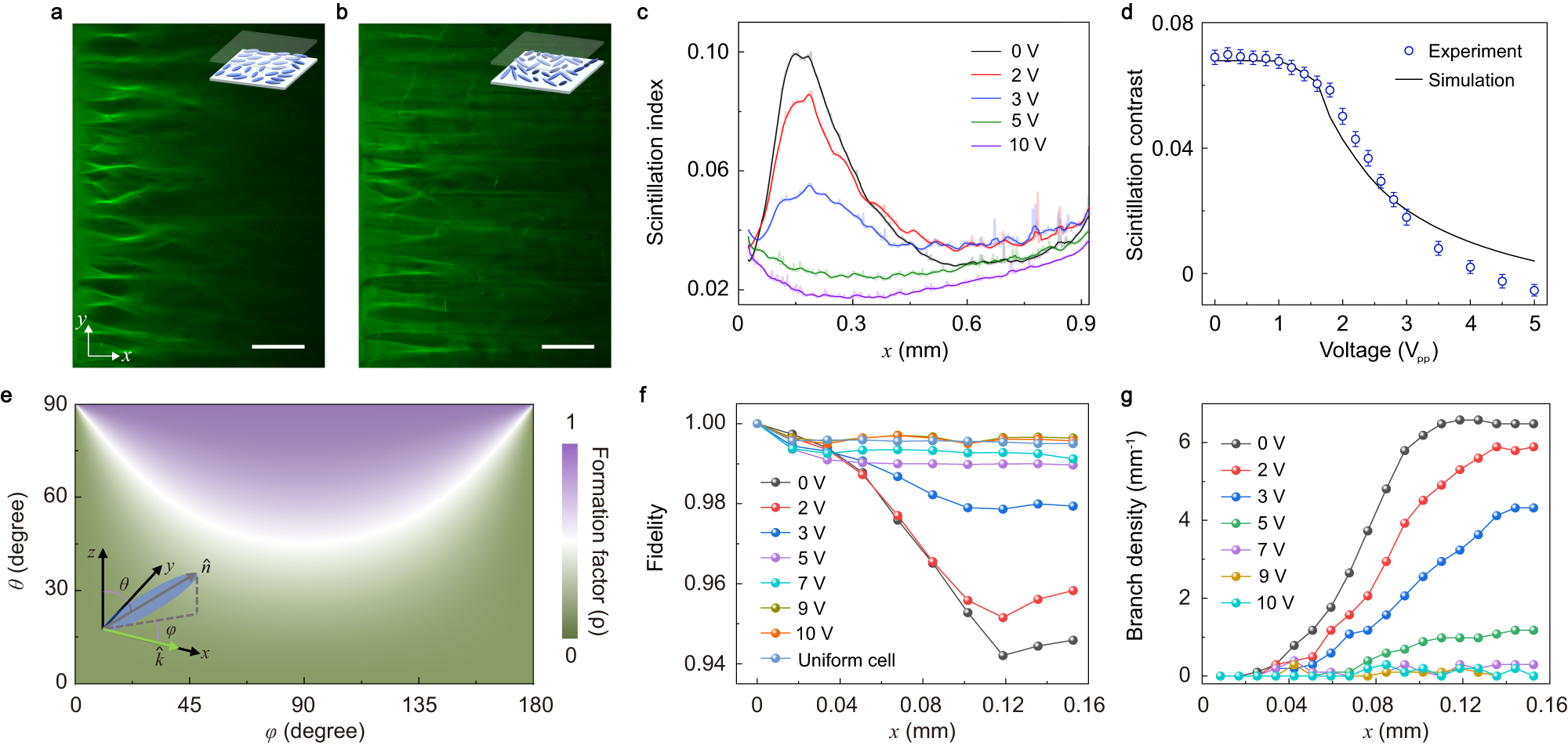 Fig. 3: Electrical tuning of the branched flow of light with quasi-plane-wave incident.