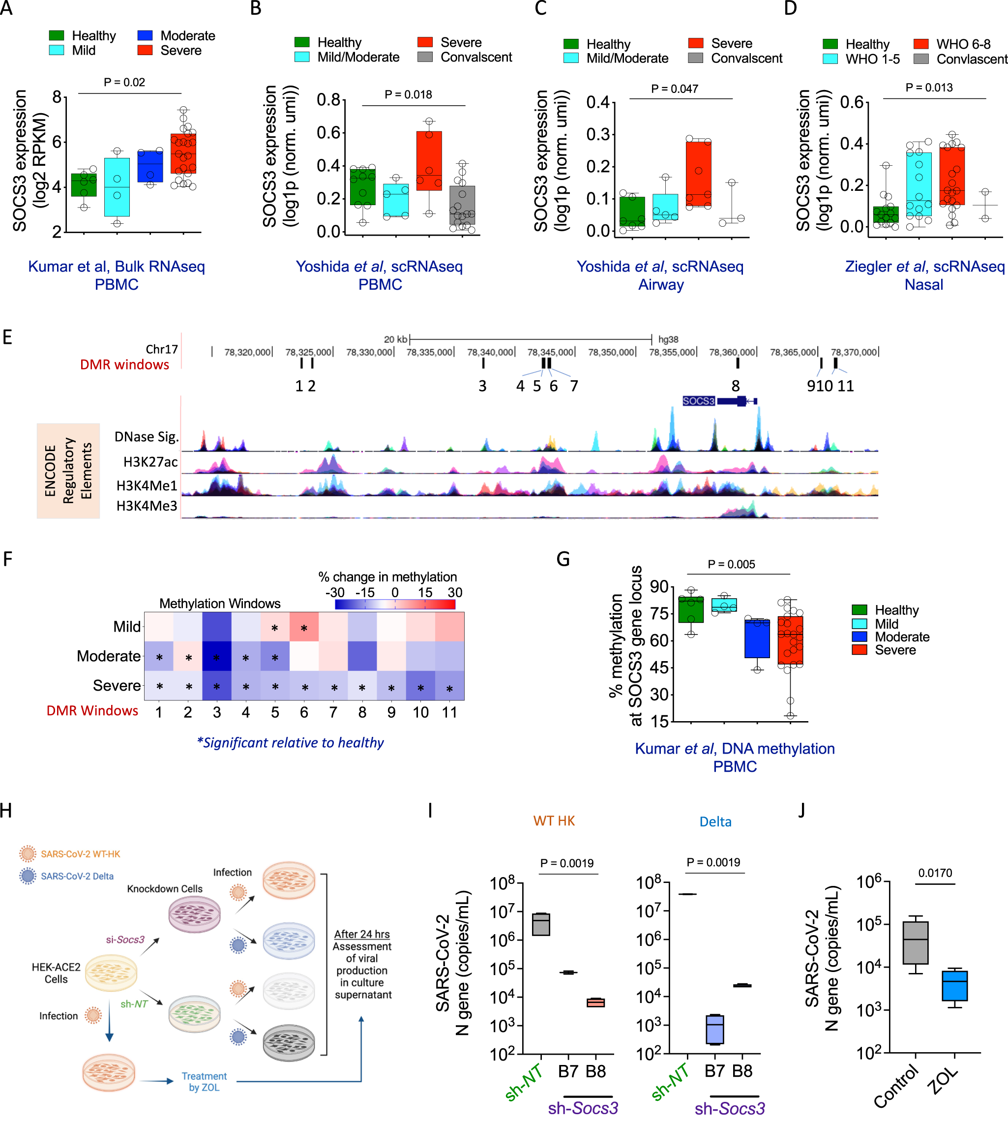 Fig. 7: SOCS3 expression associates with severe COVID-19 and enhances SARS-CoV-2 replication in vitro.
