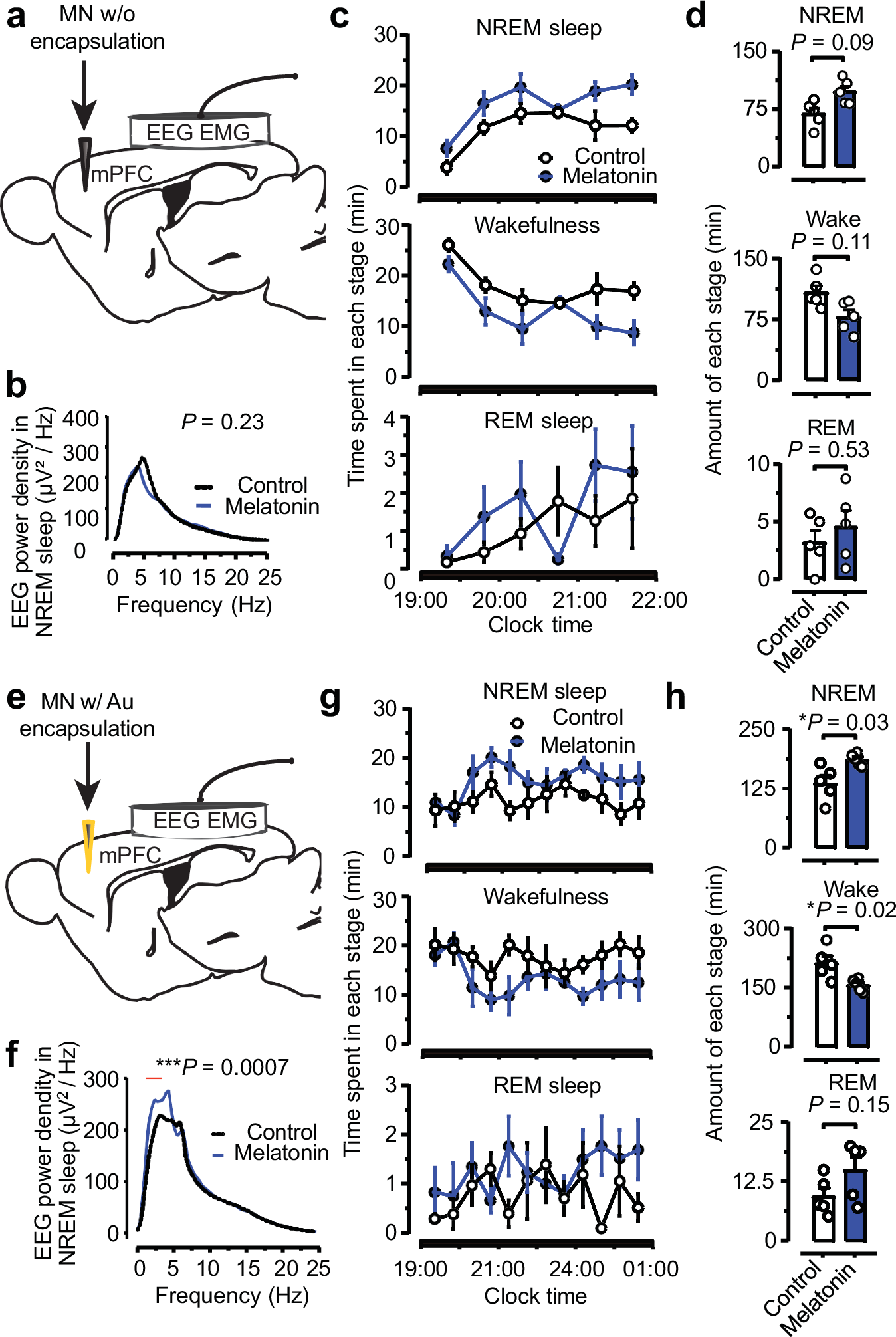Fig. 6: Assessment of in-brain drug delivery by microneedles.
