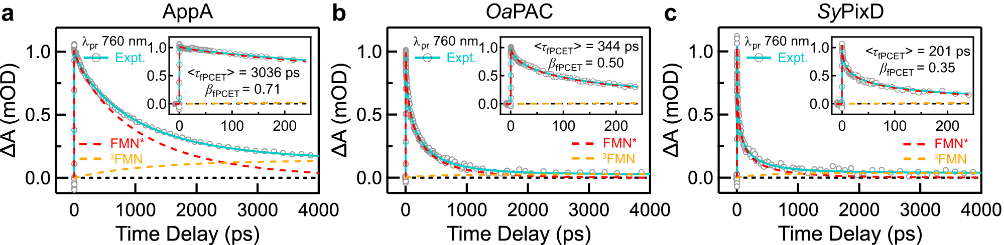 Fig. 6: Kinetic transient cuts at 760 nm wavelengths and fitting results.